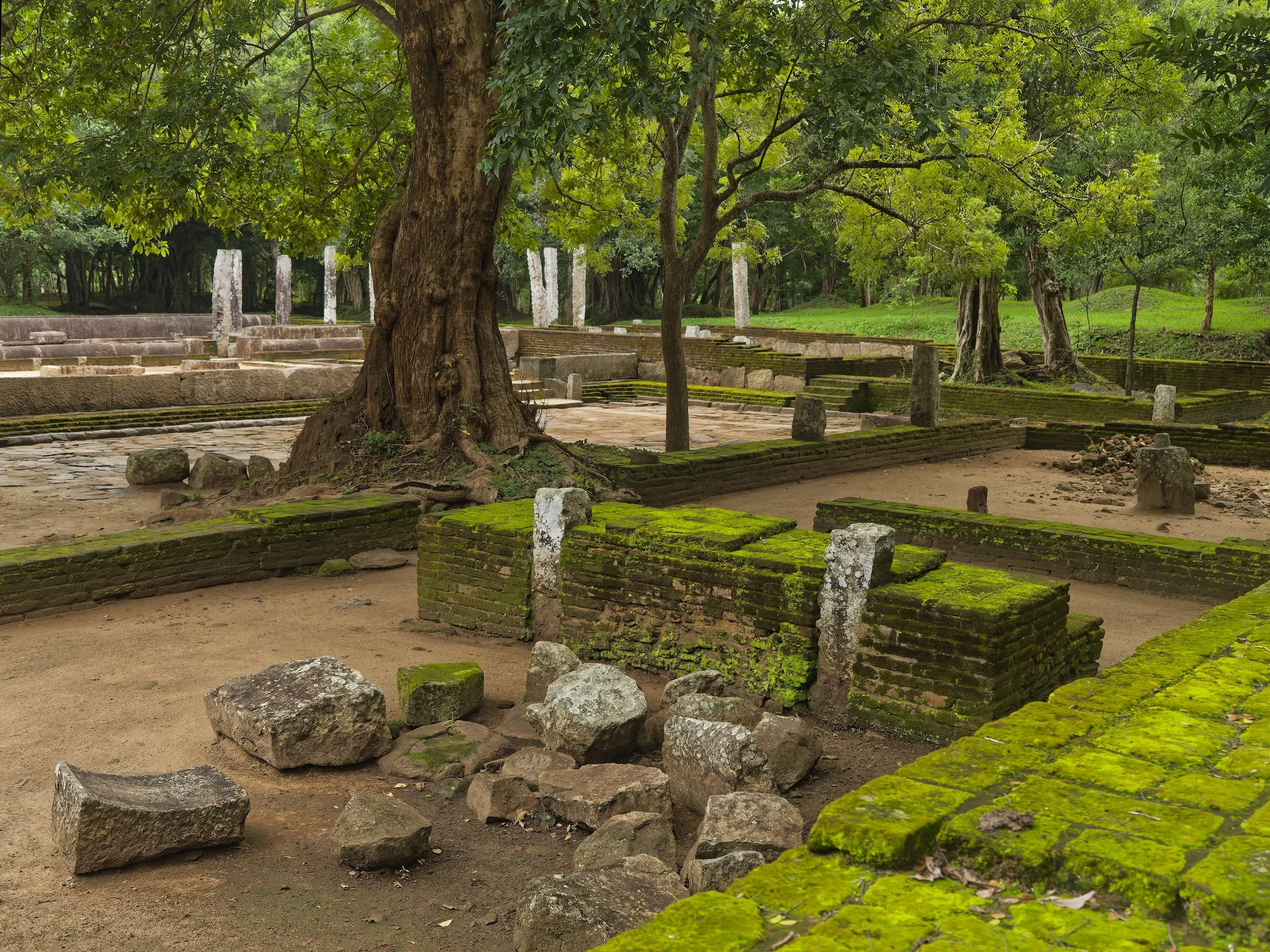 Sri Lanka