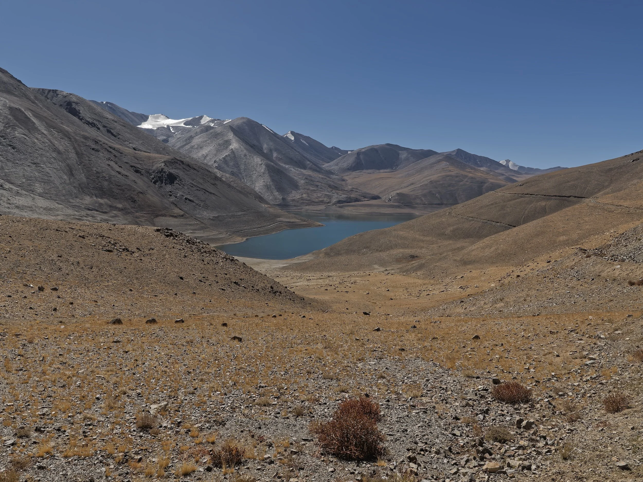 Landscape