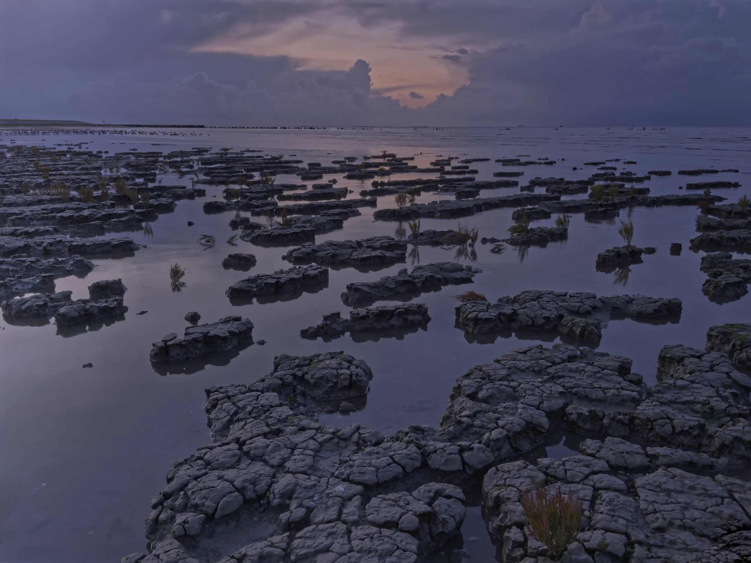 Seascape