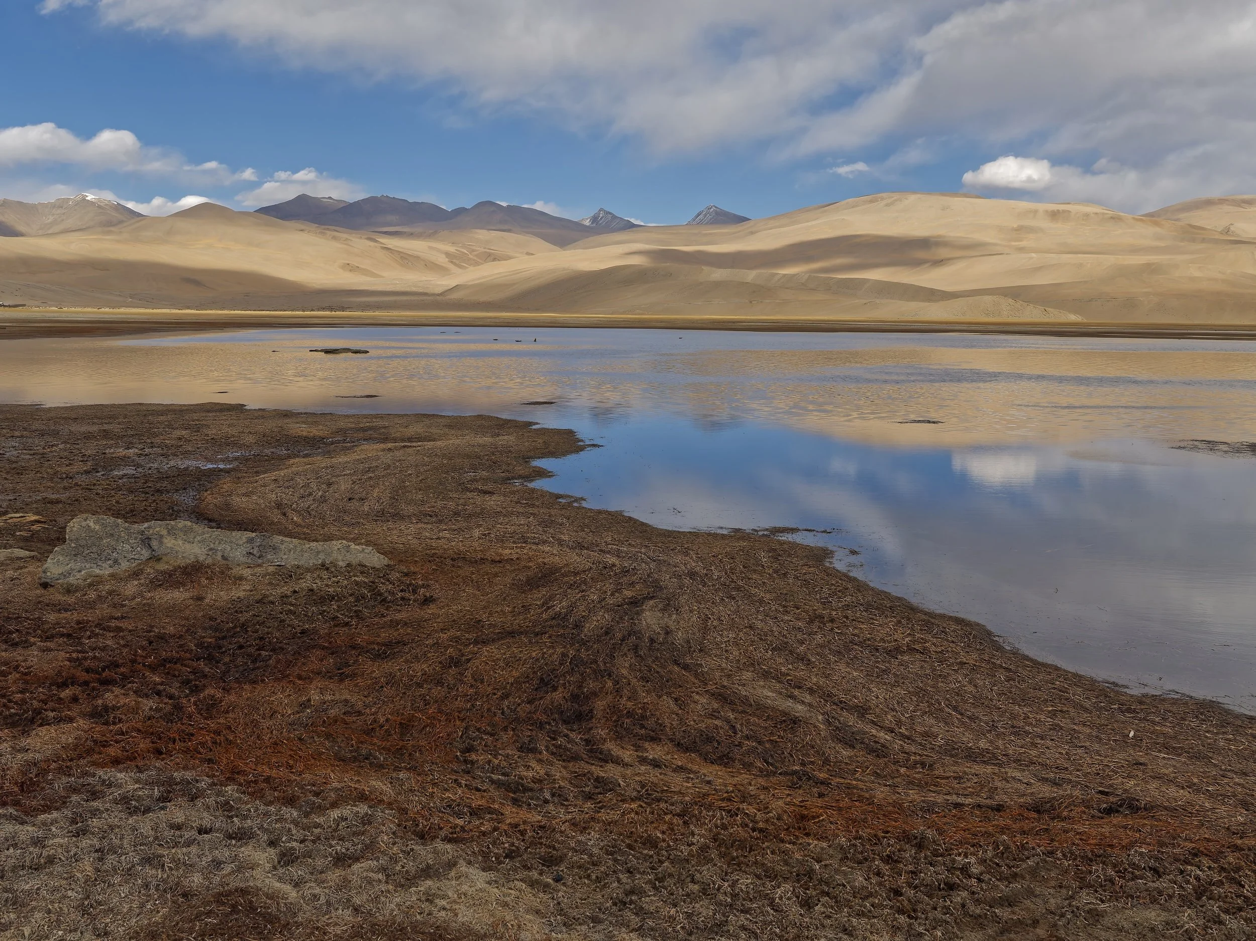 Landscape
