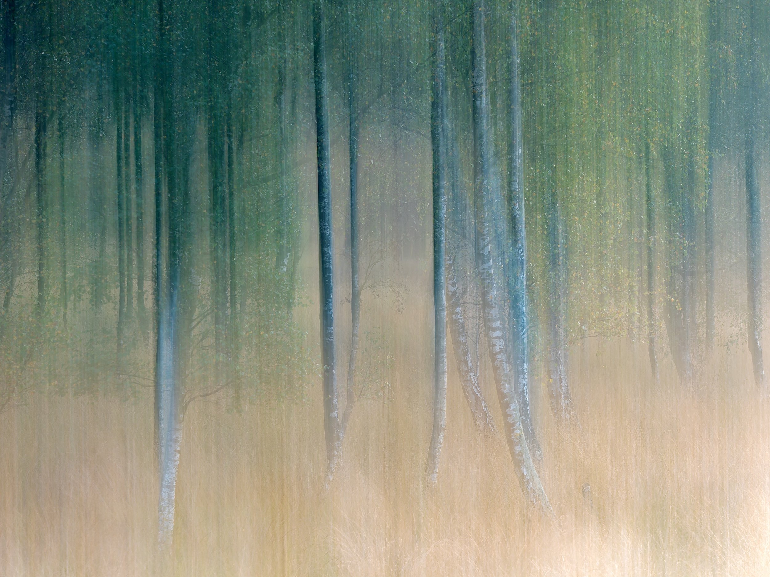 Hoogerheide