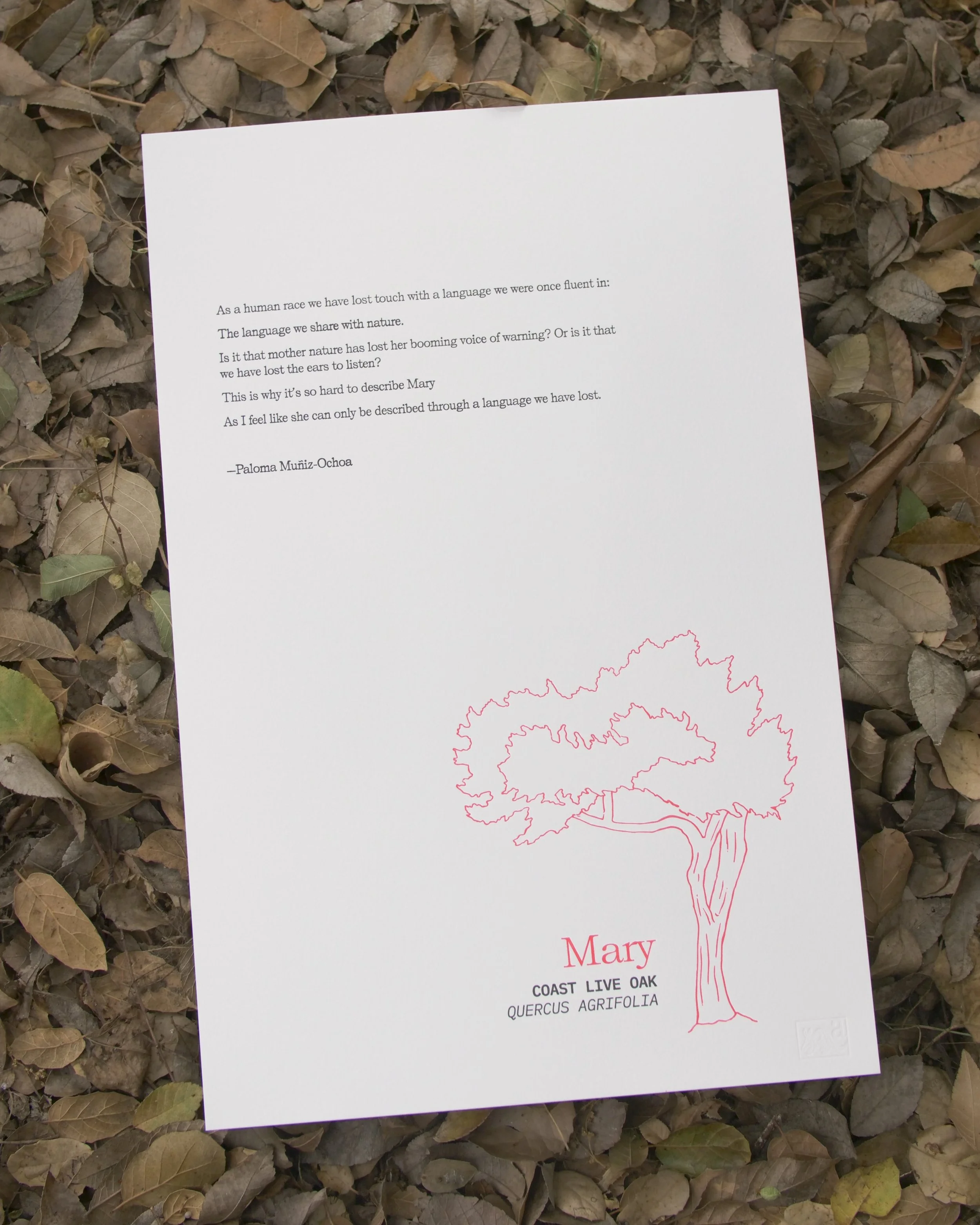Letterpress print (Mary)