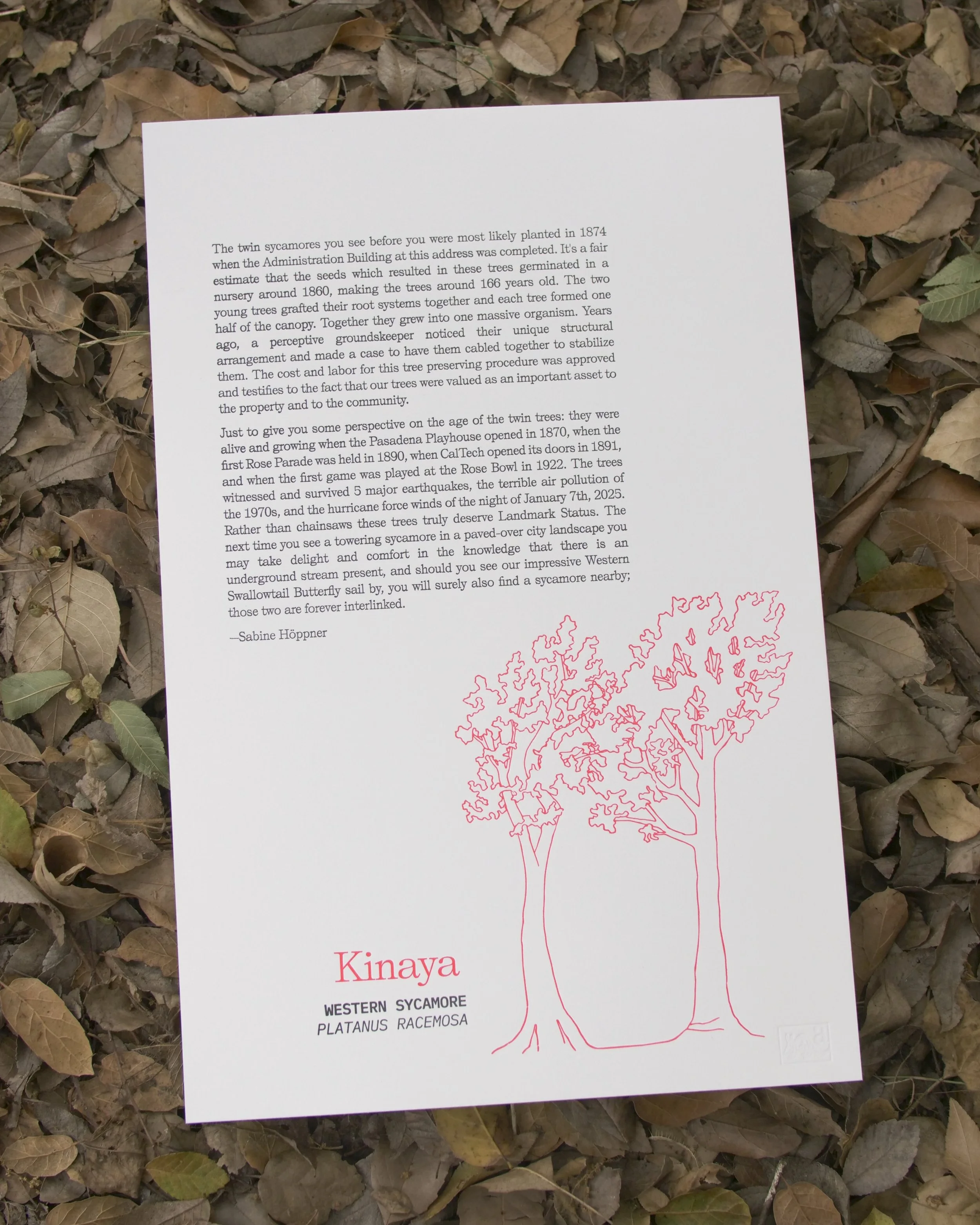 Letterpress print (Kinaya)