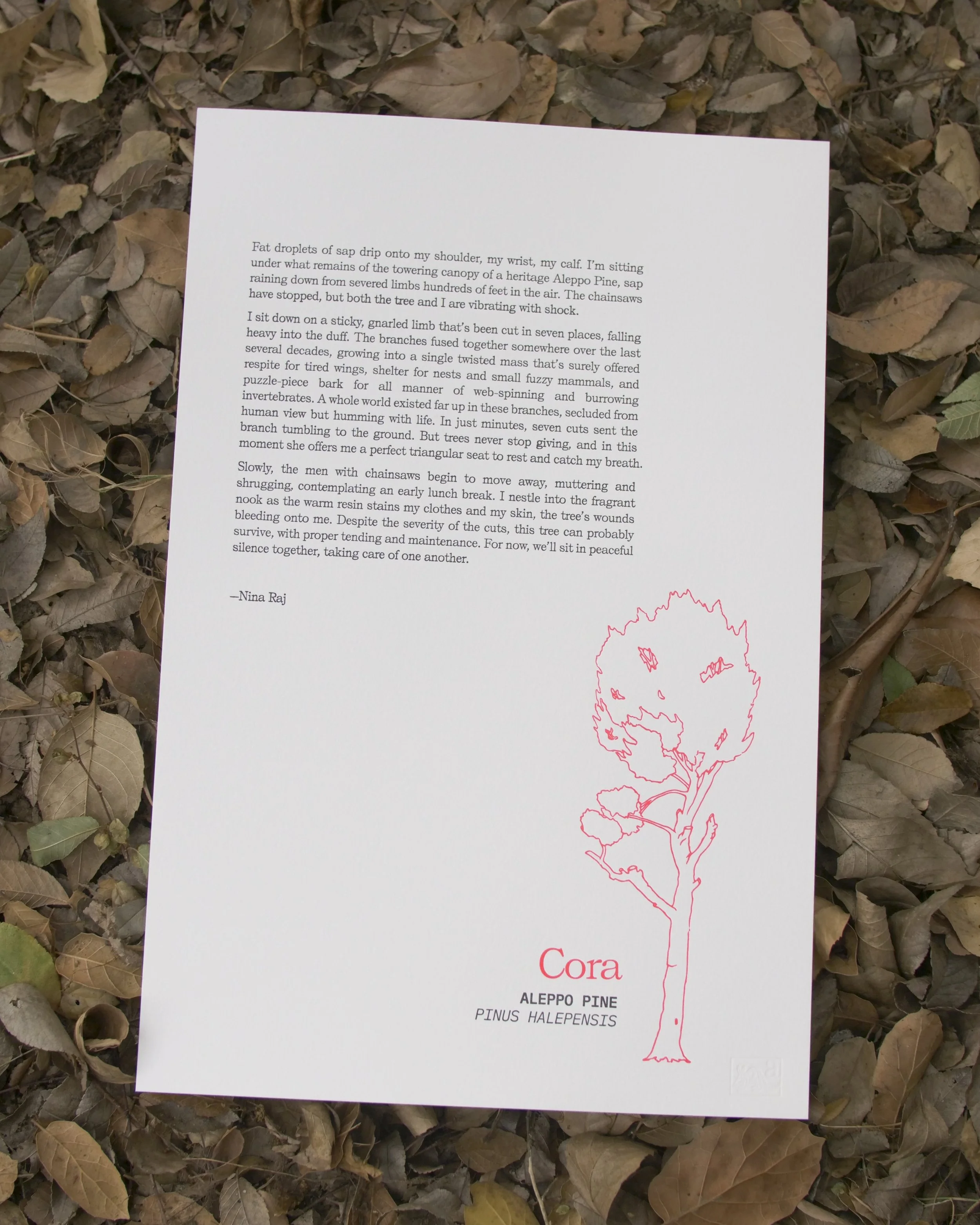 Letterpress print (Cora)