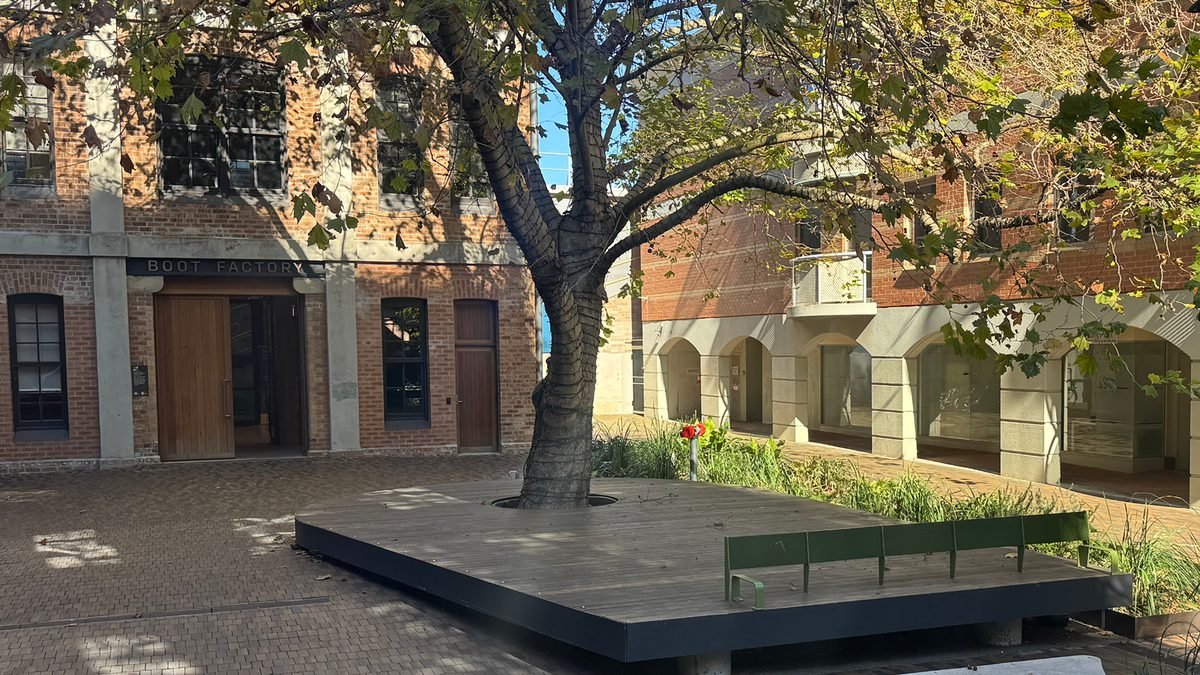 A large tree surrounded by a wooden platform in an urban courtyard, with brick and concrete buildings, some with arched windows, in the background.