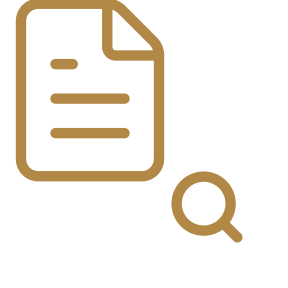 Icon of a document with a magnifying glass