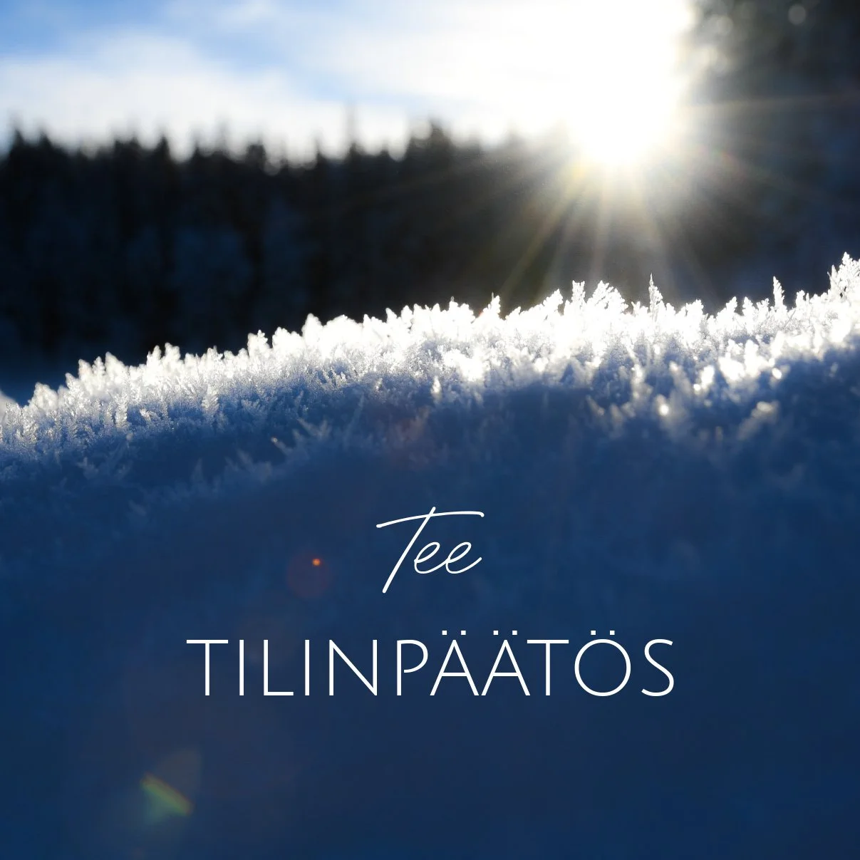 Tee tilinpäätös 2025-2026
