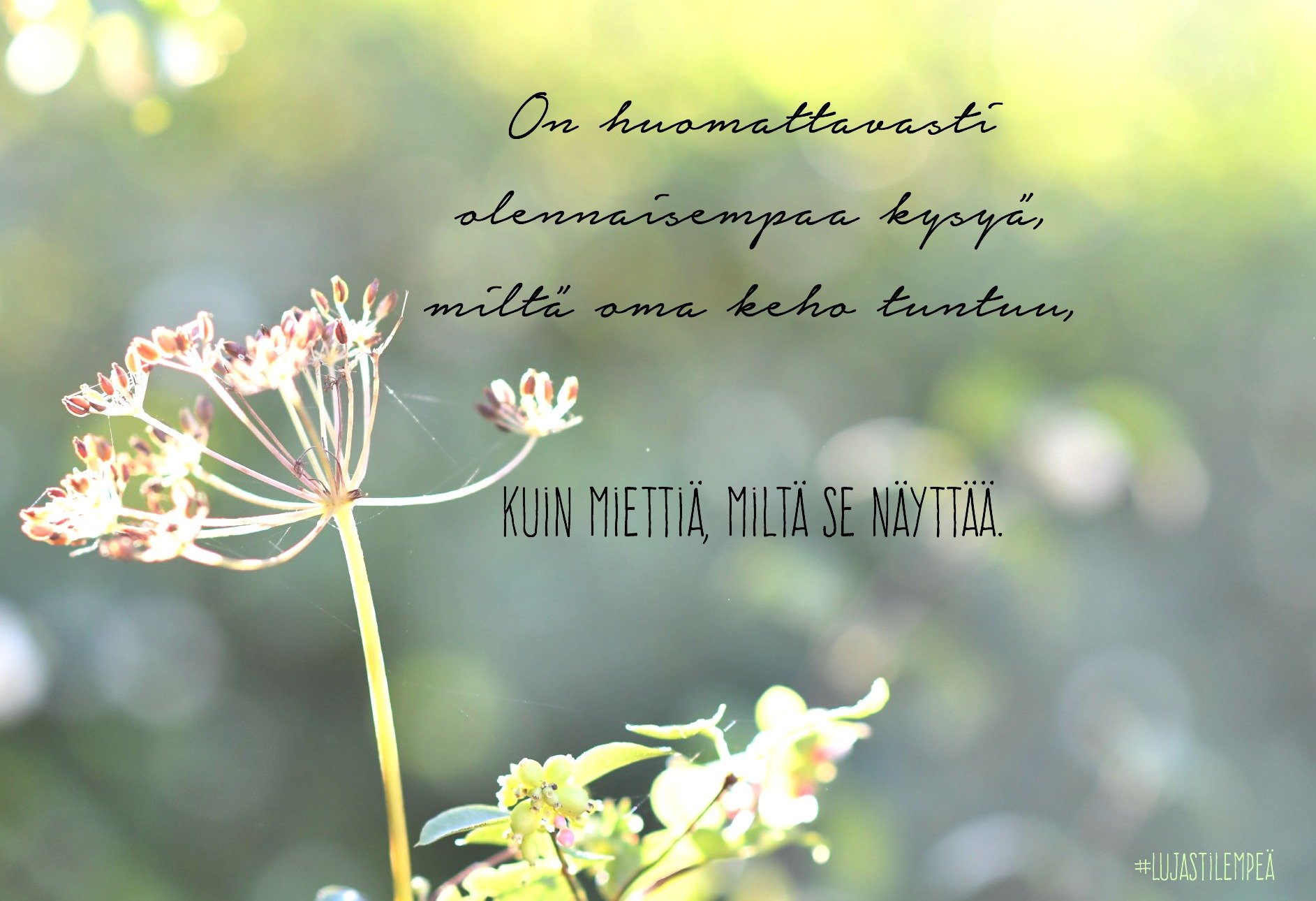 #kirjaperjantai katsoo ja kuulee armollisesti naisen kehoa