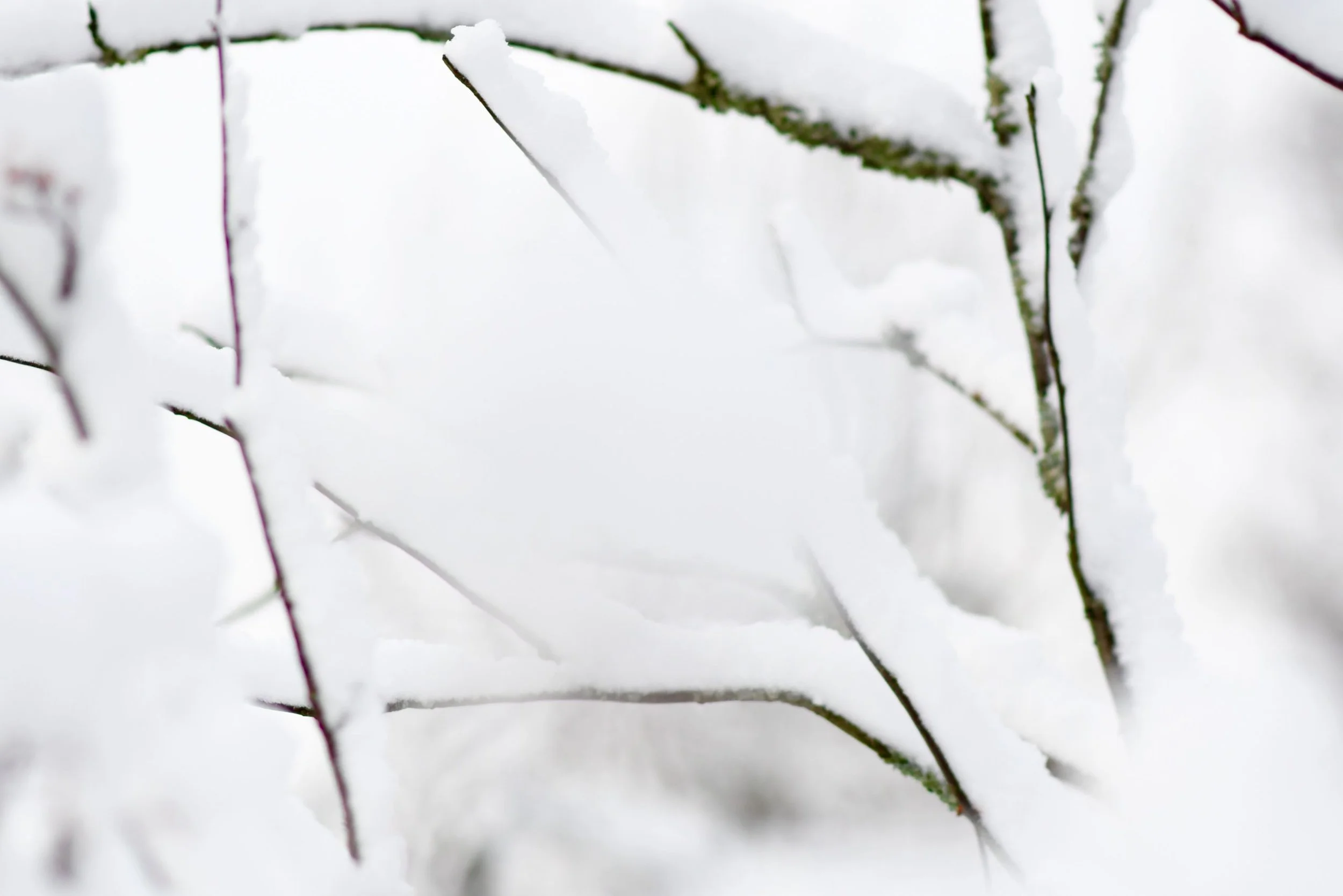 Luksusnarina on merkki unohdetusta hyvinvoinnista - Tavallinen arkipäivä on jo osa suurta unelmaa, jonka harva tässä maailmassa saavuttaa