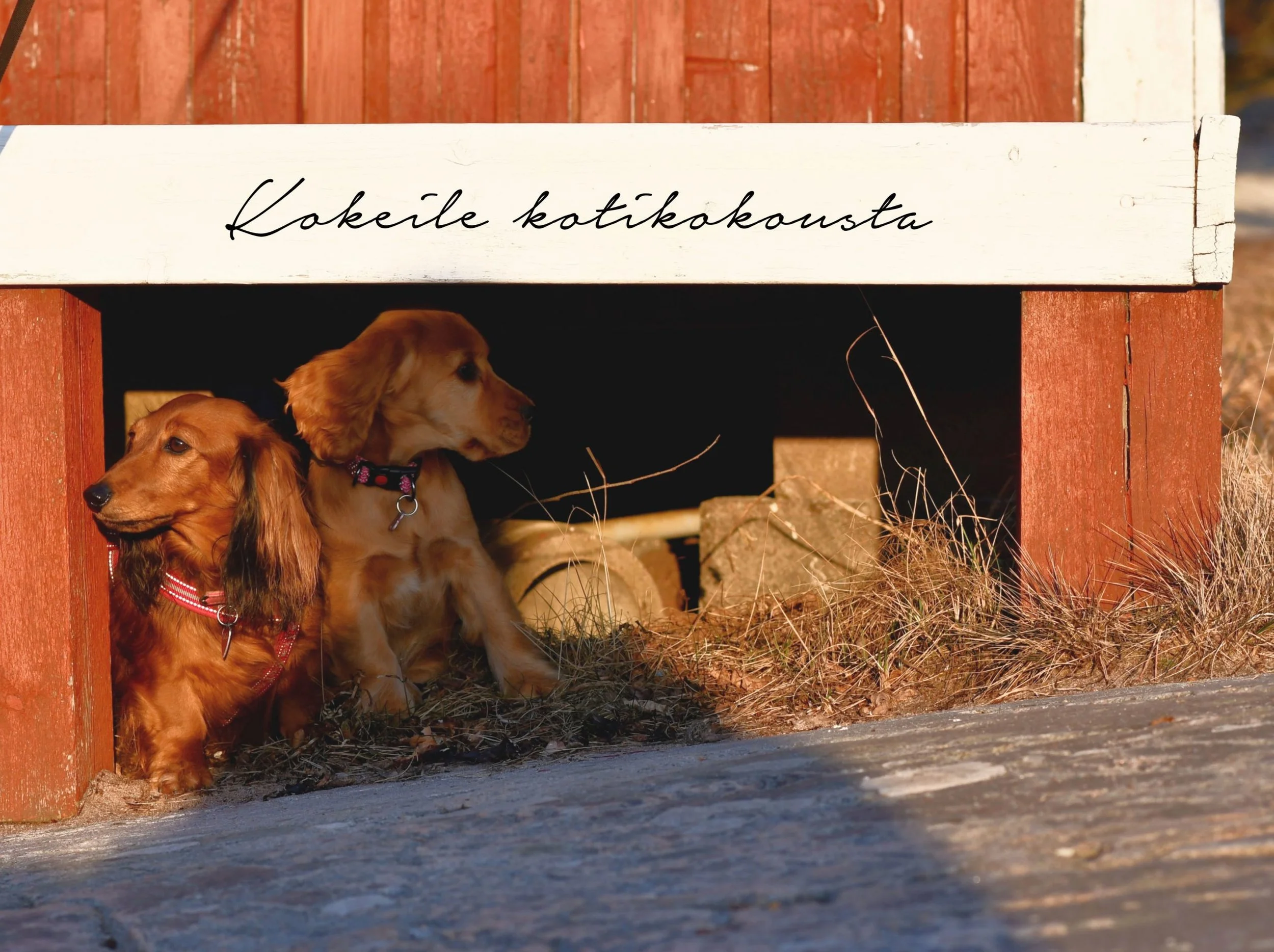 #Mielitekoja 13/52: Kokeile perhe- ja parisuhdekokouksia