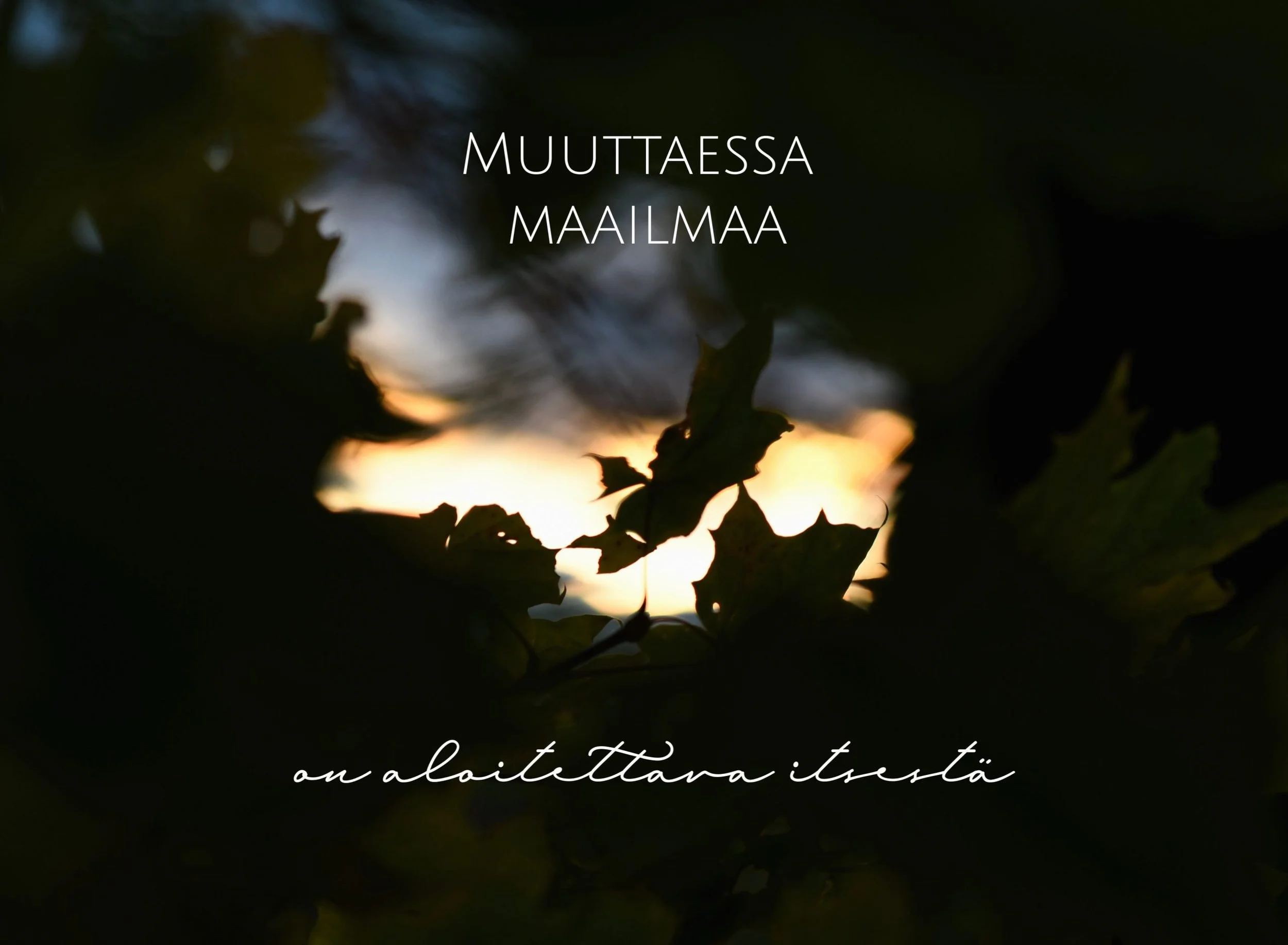 #Mielitekoja 41/52: Mielen perusasiat