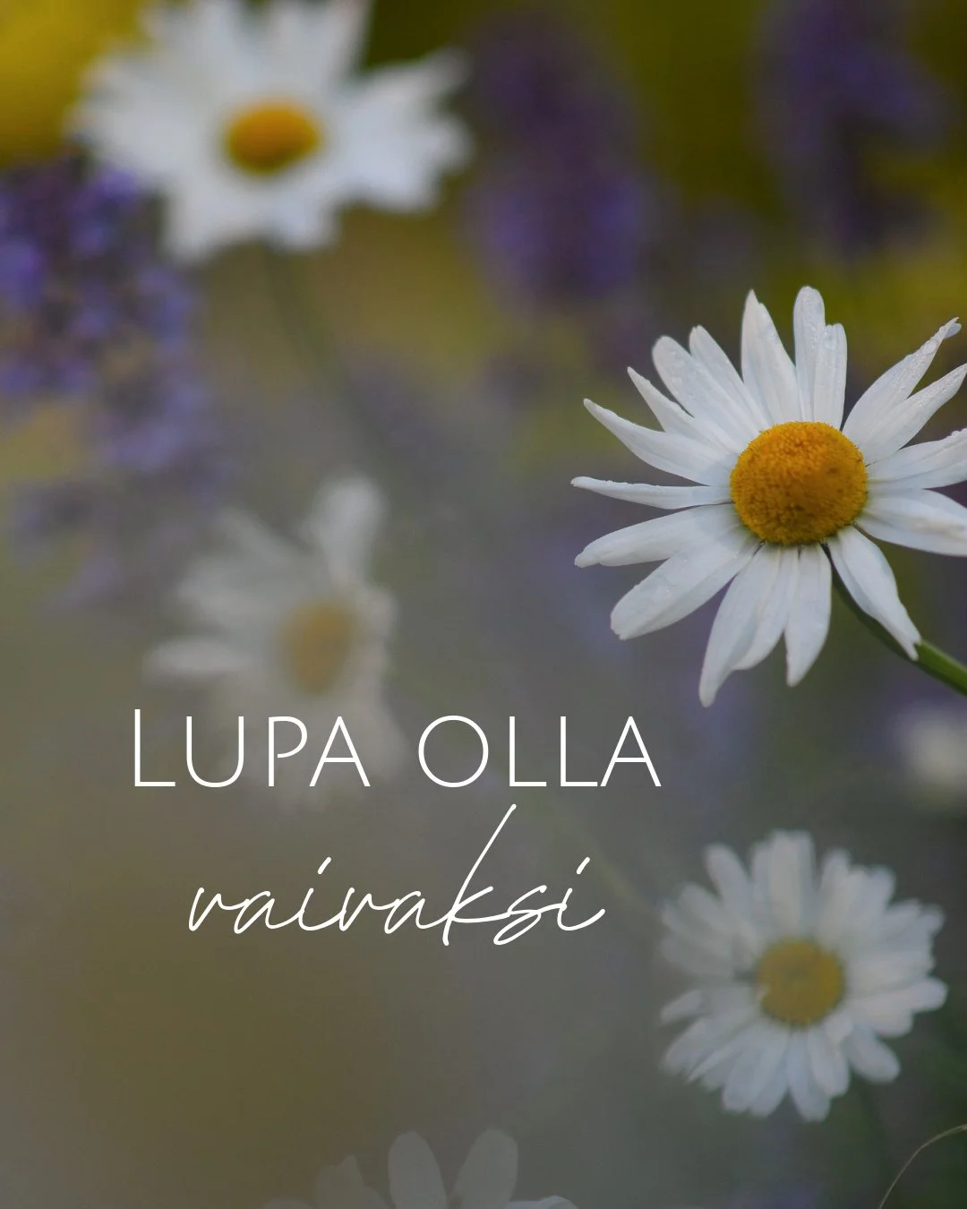 ❗&rdquo;En m&auml; halua olla toisille vaivaksi.&rdquo;

Se on lause, jonka olen vastaanottoty&ouml;ss&auml;ni kuullut aivan liian monta kertaa. Joskus sen on sanonut nuori, joka on kokenut seksuaalista v&auml;kivaltaa perheen ulkopuolella, mutta ei 