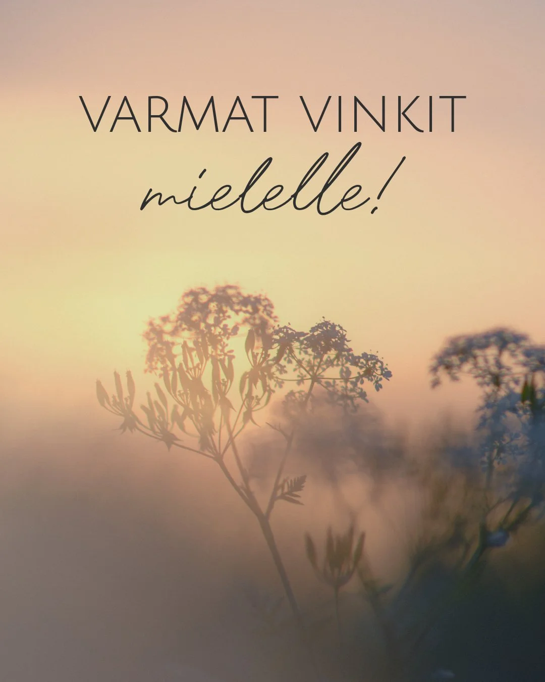🆘 Minulta kysyt&auml;&auml;n jatkuvasti vinkkej&auml; mielenterveyteen. Vinkkej&auml; hyvinvoivaan mieleen on jaettu yllin kyllin, joten tutkailen asiaa takaperin. Seuraavilla vinkeill&auml; vahvistat varmasti mielesi pahoinvointia 😉 Tutki ja ihmet