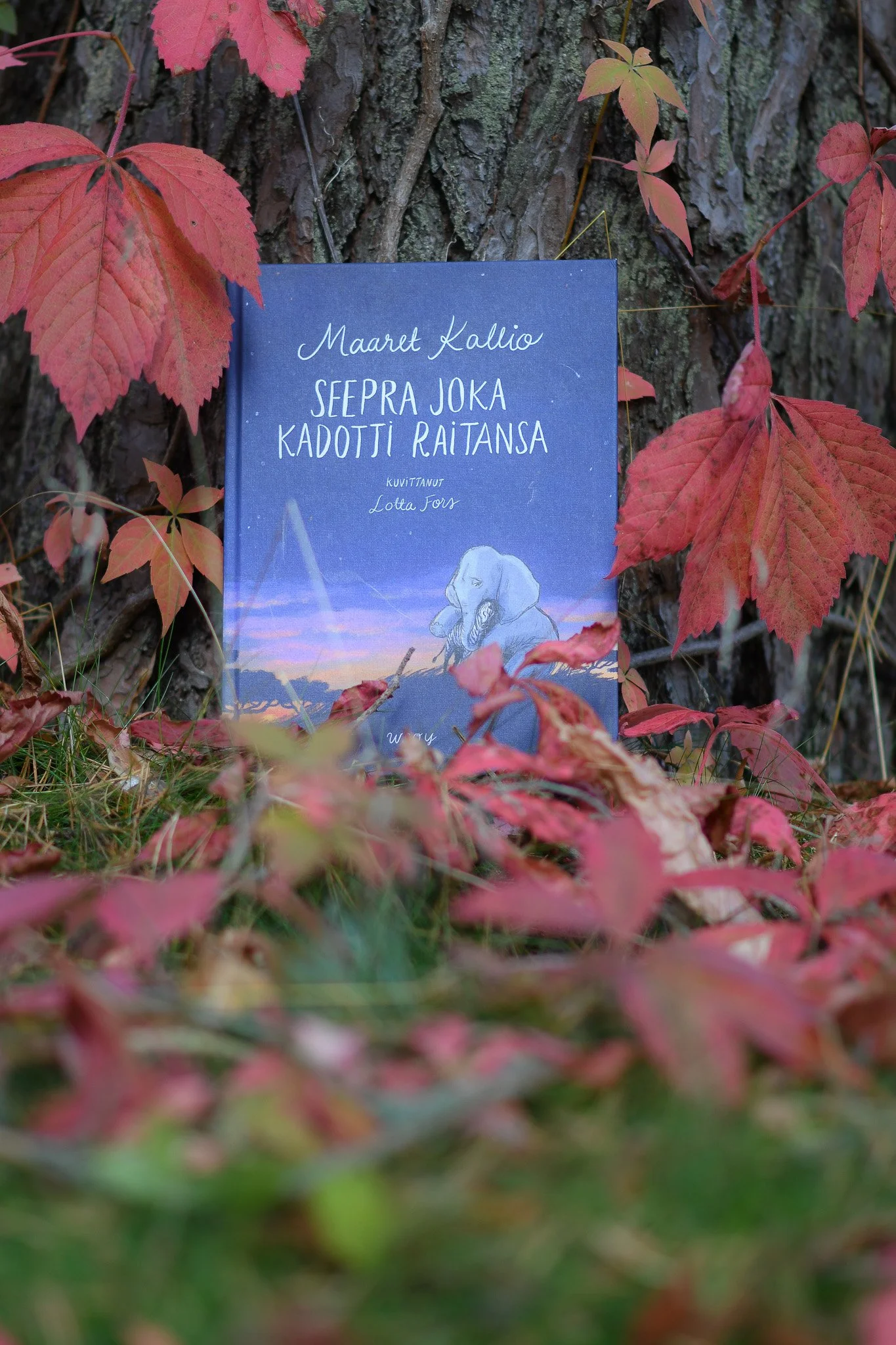 Kirjoitin lastenkirjan kuolemasta - miksi?