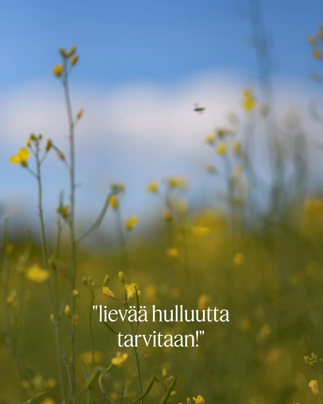 💖 Sain valloittavan palautteen er&auml;&auml;lt&auml; vanhemmalta herralta, jonka tapasin puhetilaisuuden p&auml;&auml;tytty&auml;. H&auml;n oli etsinyt nettisivujeni yhteydenottolomakkeen vain kiitt&auml;&auml;kseen illasta, mutta ennen kaikkea vau