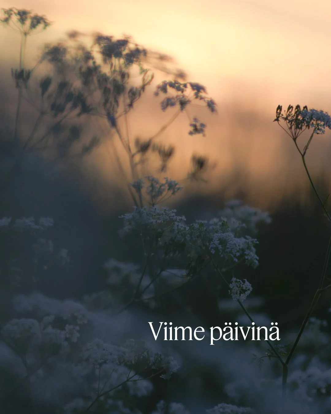 💛 Viime p&auml;iviin on mahtunut paljon. Siit&auml; pari kuvaa - ja sokerina pohjalla hauskuutta, joka yll&auml;tti minutkin! 😅

#toivo #turvallisuus #mielenterveys #tunteidenmets&auml;