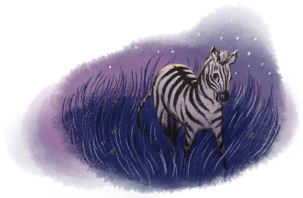 Valkoinen ja mustavalkoinen zebra seisoo purrassa sinisen ja violetin sävyisessä maastossa