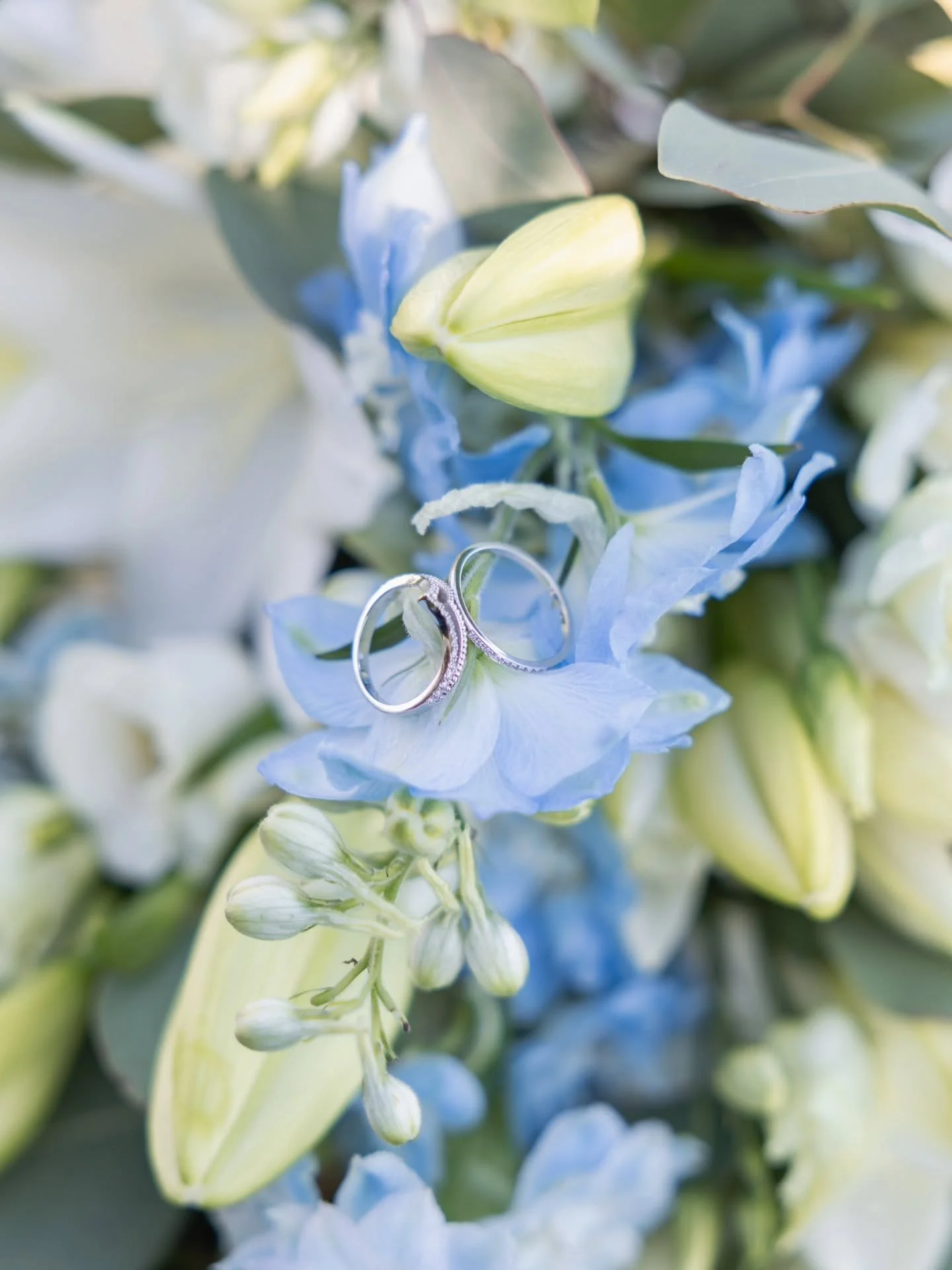 Love is in the little details 🤍💐

. 
. 
. 

#fotografvjenčanja #fotografiranjevjenčanja  #DetaljiVjenčanja 
#vjencaniprsteni
#dekoracijavjenčanja
(zagreb vjenčanja, dekoracije, vjenčanje, weddingphotography, wedding, weddingphotographer, vjenčanje,