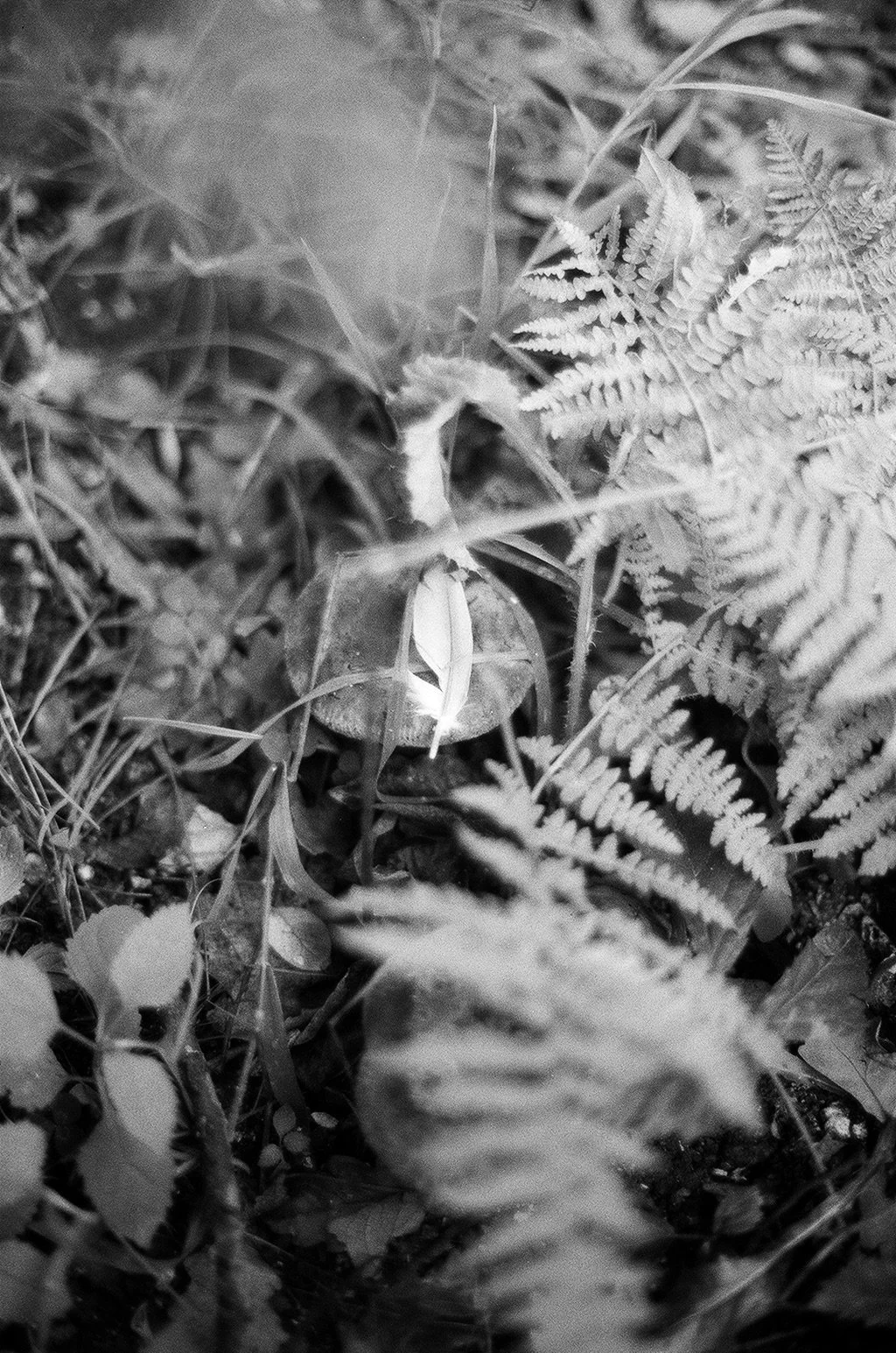 PHOTOWALK &amp; WRITING SESSION.