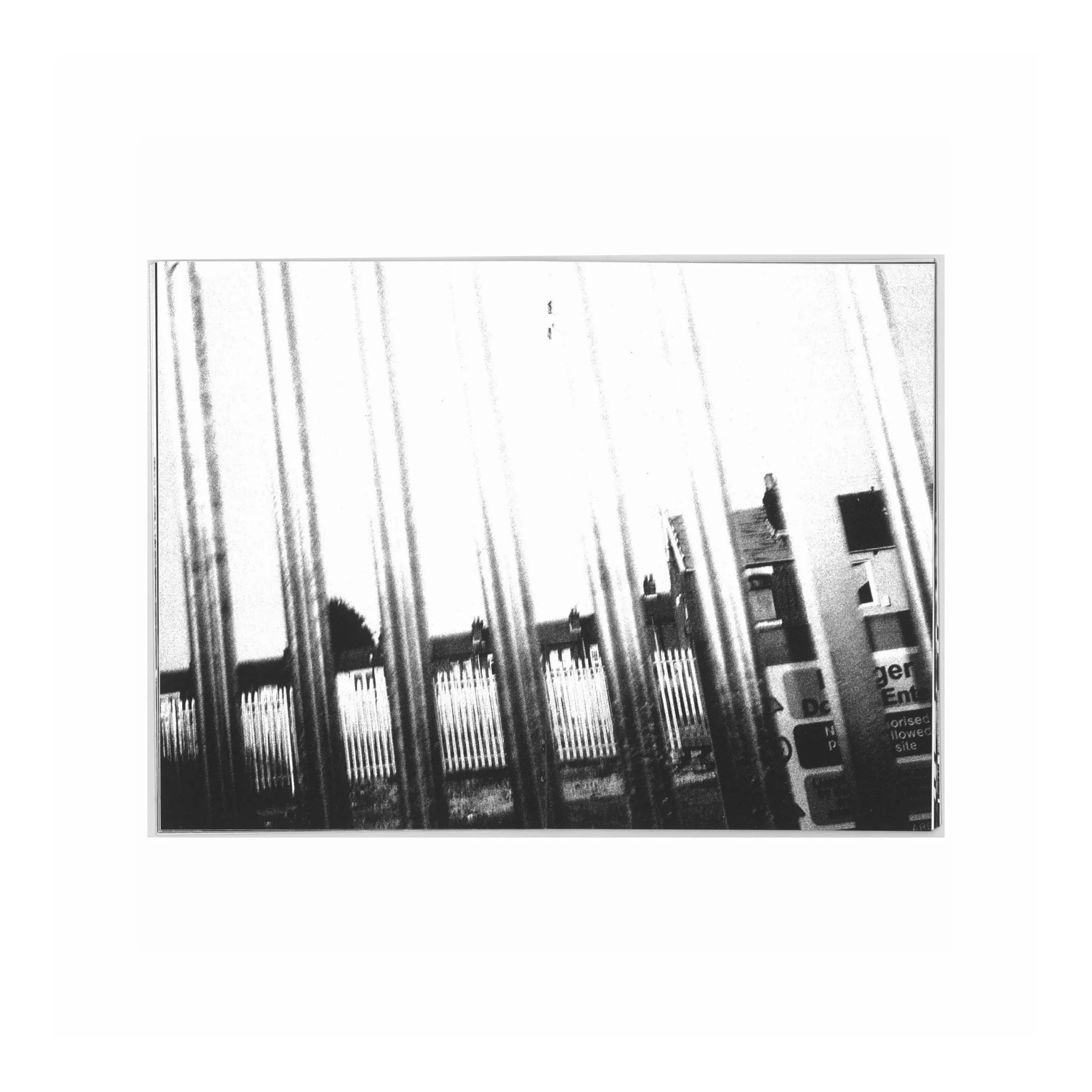 IMG_2459.jpeg
