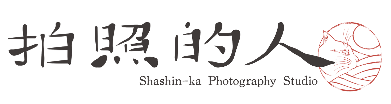拍照的人
