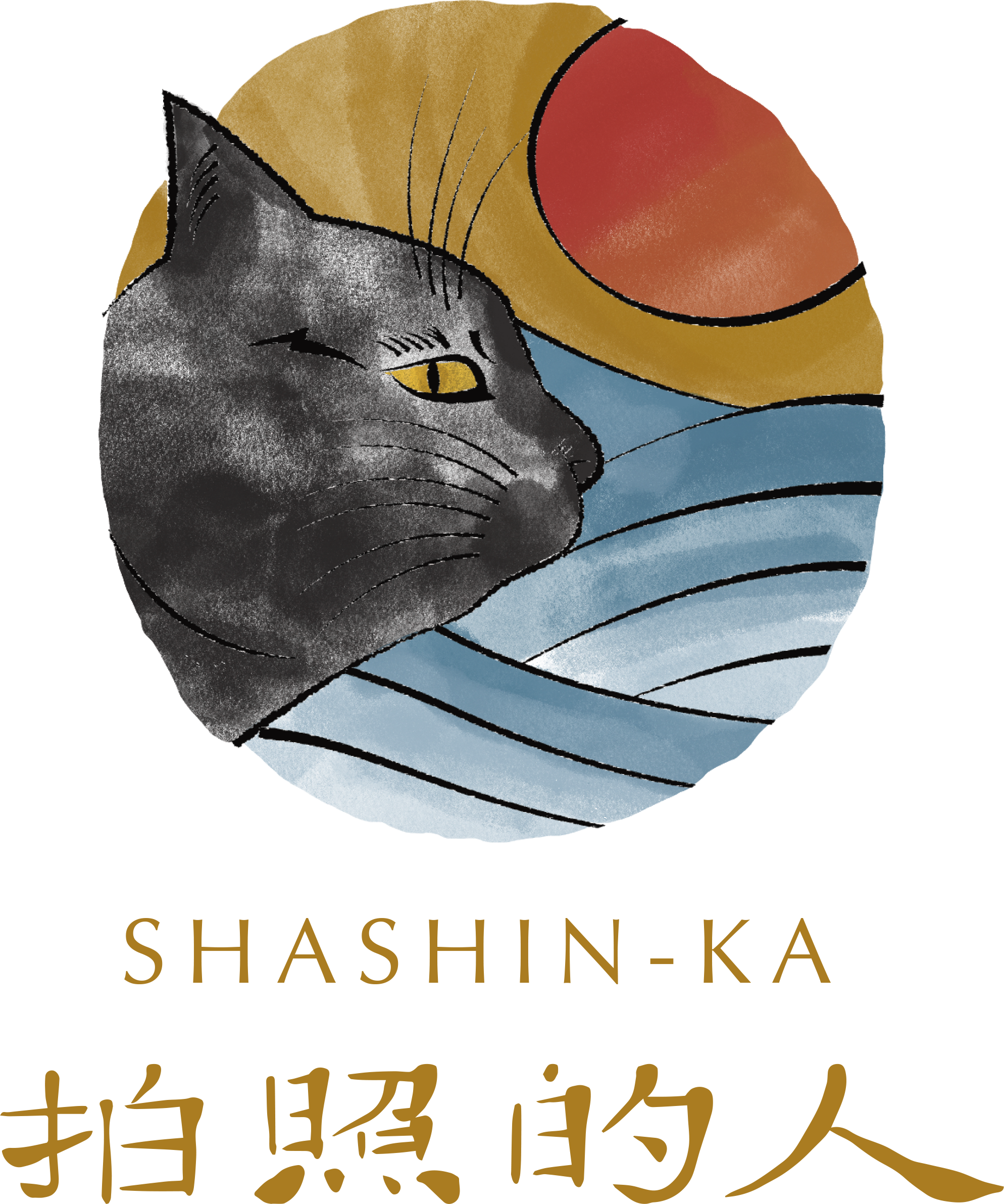 A cartoon image of a black cat with yellow eyes, resting its head on a blue pillow, with a large, round orange and yellow cap in the background.