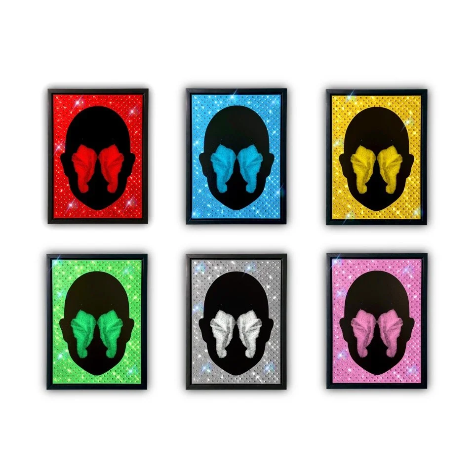 IGOR Zonai, Dibond Rhinestones, 13x8 cm., Alu-Dibond, framed, € 350.jpeg