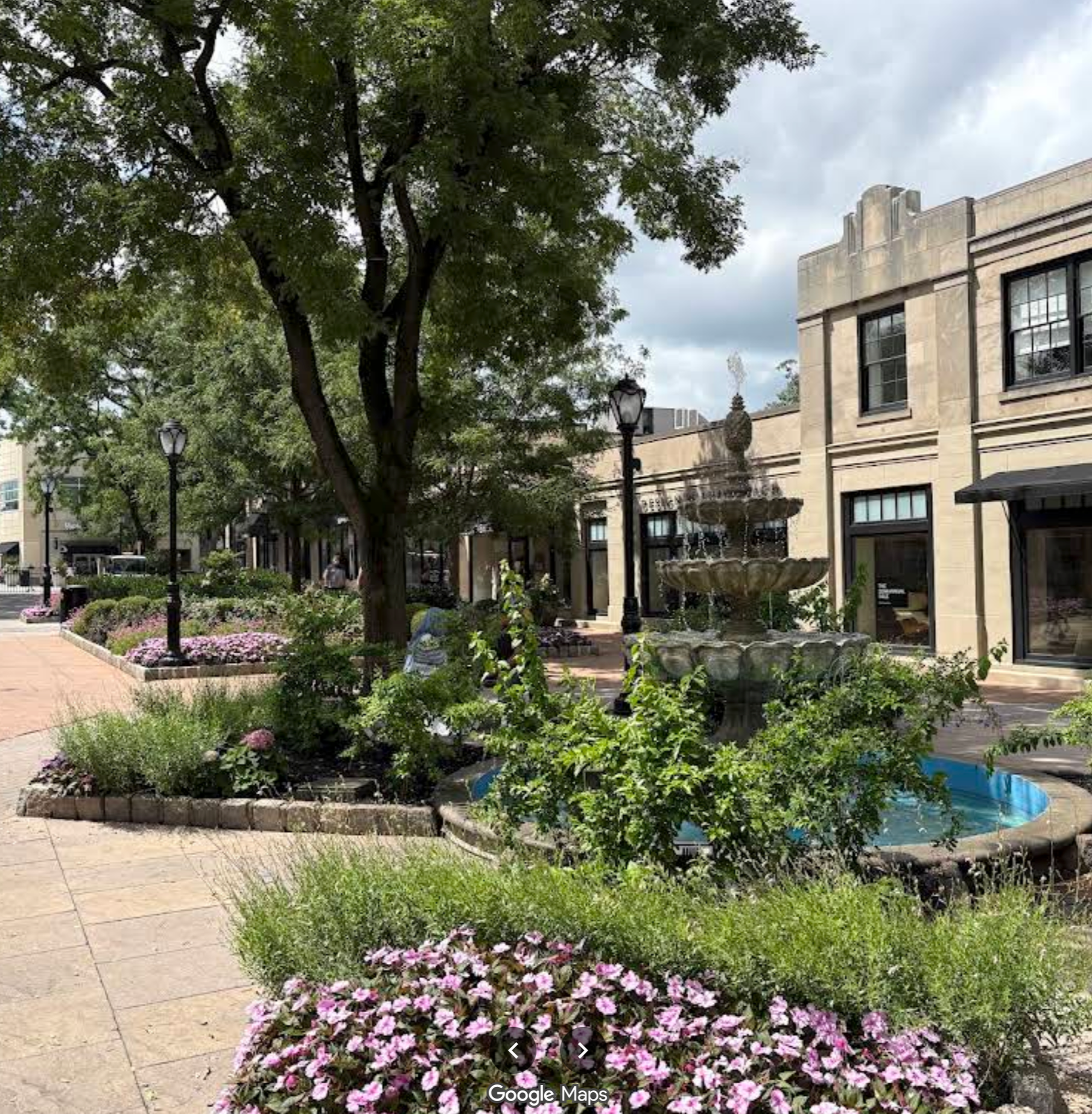 A public square with a large tree, flower beds, street lamps, and a fountain in front of a beige stone building.