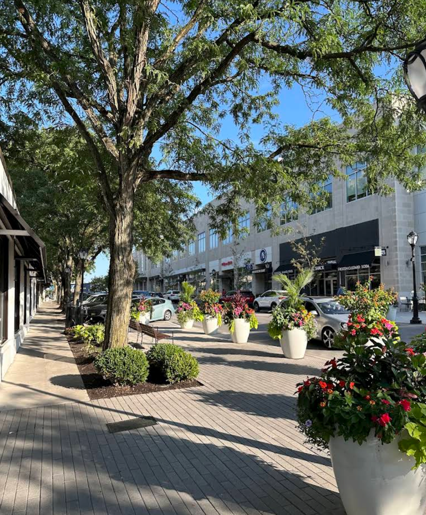 A sidewalk in front of a commercial building with shops, large flower pots with colorful flowers, green bushes, tall trees, and parked cars under a clear blue sky.