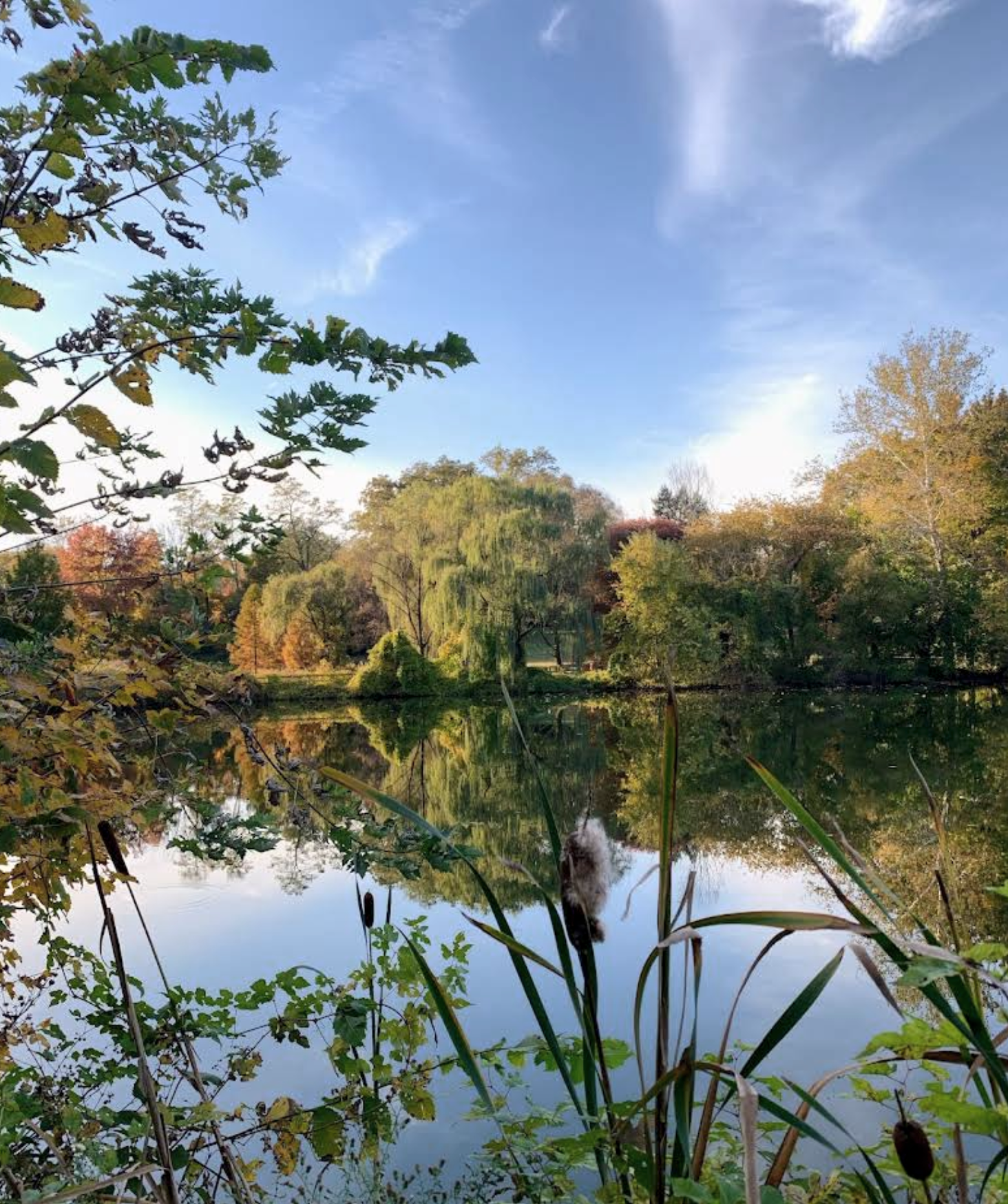 A peaceful scene of a calm river or pond surrounded by trees with green and autumn foliage, under a blue sky with some clouds. The trees and sky are reflected in the water.