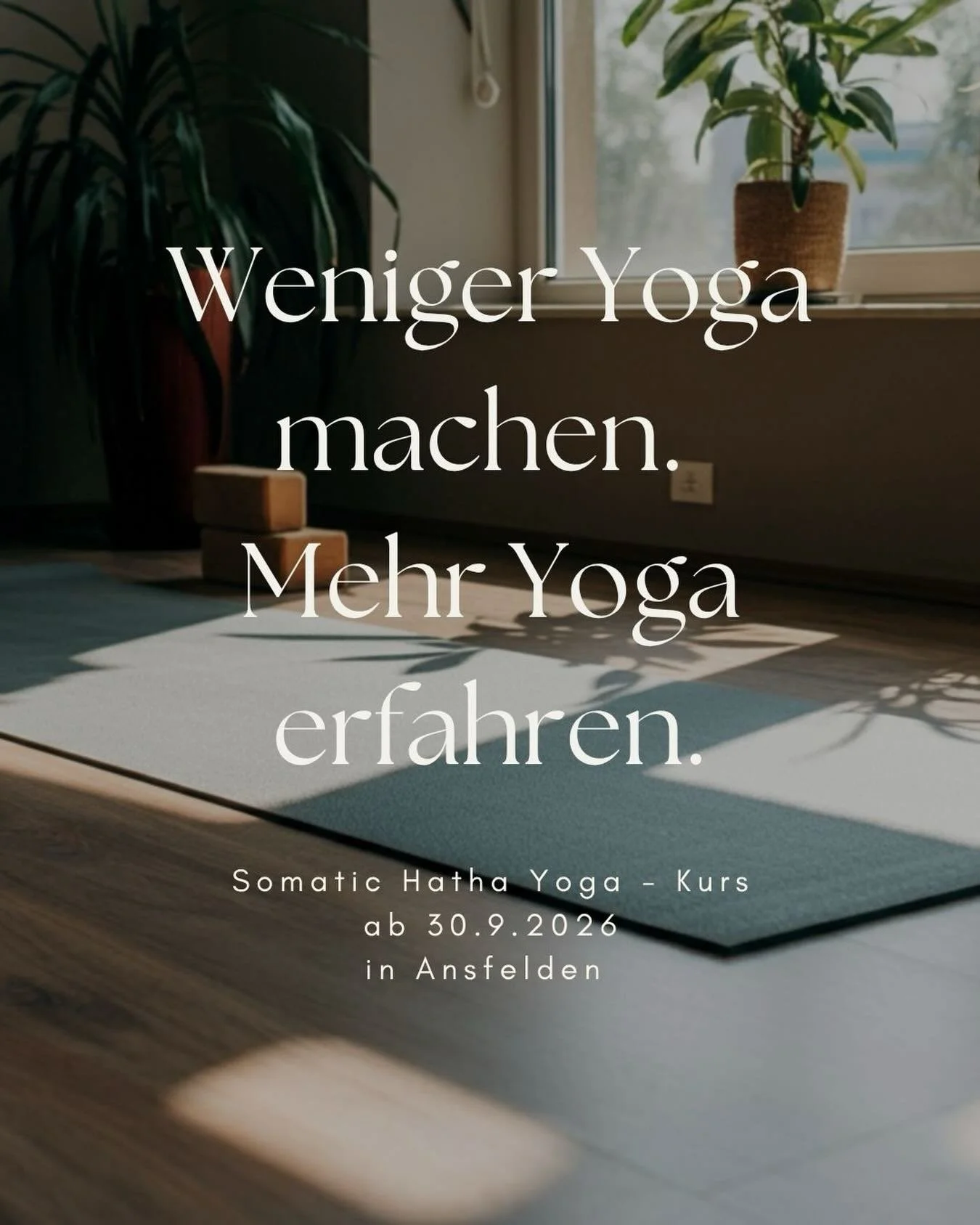 Nicht WAS du praktizierst. Sondern WIE.

Eine Yogapraxis zwischen Stabilit&auml;t und Weichwerden.

Im Somatic Hatha Yoga erforschen wir nicht nur die &auml;u&szlig;ere Form einer Asana, sondern vor allem, wie wir uns darin erleben.

Wir schaffen Sta