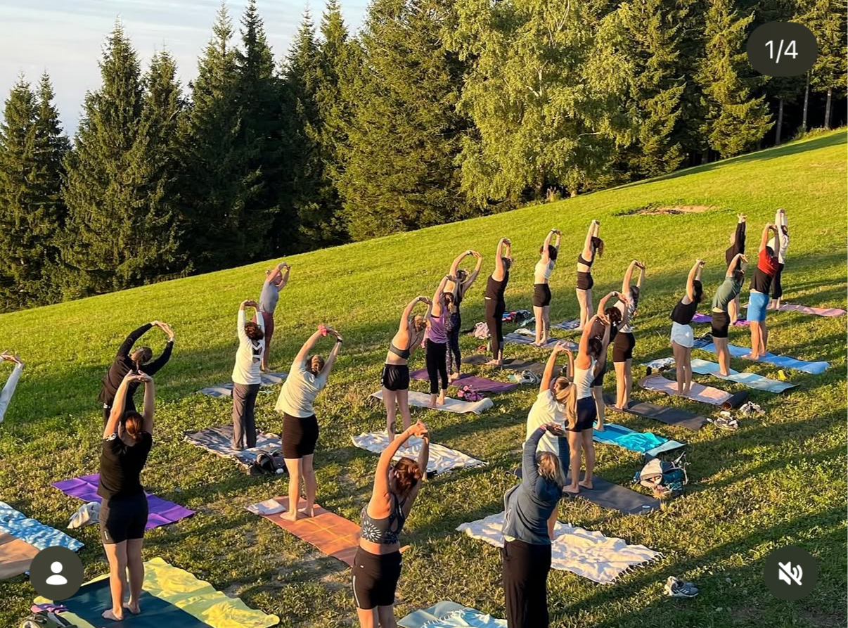 Gruppe von Menschen beim Yoga im Freien auf einer Wiese mit Tannenbäumen im Hintergrund, alle in Stehposition, die Arme über den Kopf gestreckt.