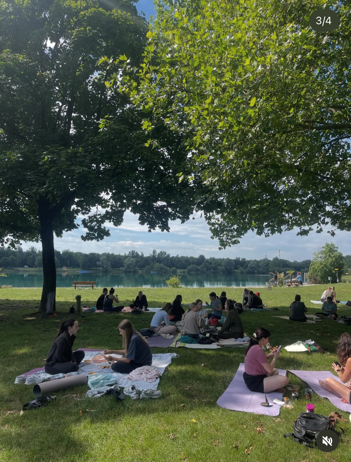 Gruppe von Menschen, die im Park am Fluss sitzen und entspannen, einige auf Decken, unter einem großen Baum bei sonnigem Wetter.