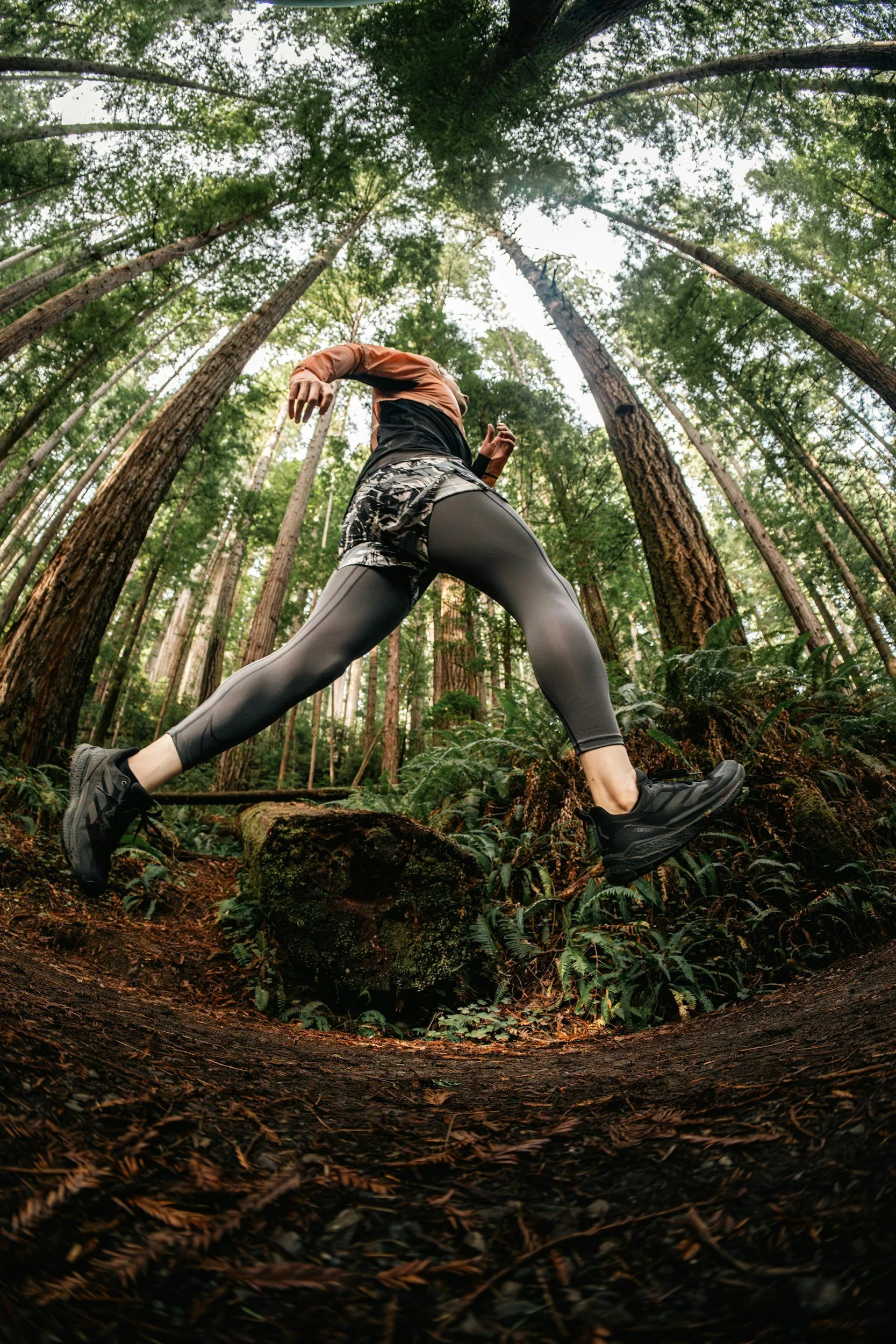 Runner in a forest on a beautiful track
