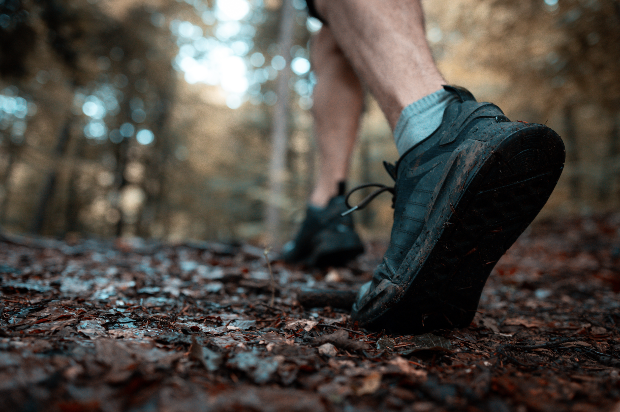 Luxury Trail Runners Retreat | Autumn 2027
