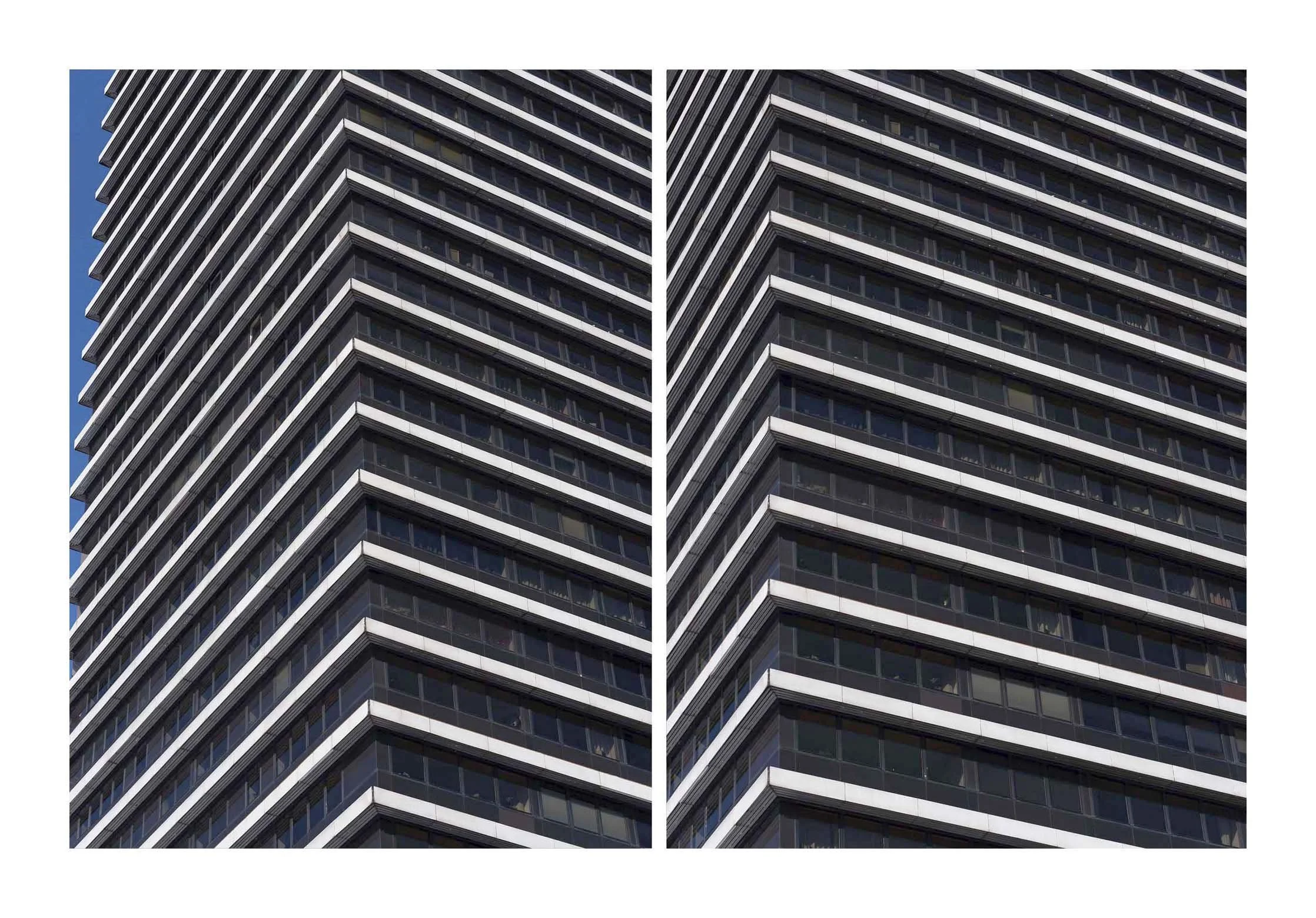 Zebra_2 Kopie.jpg