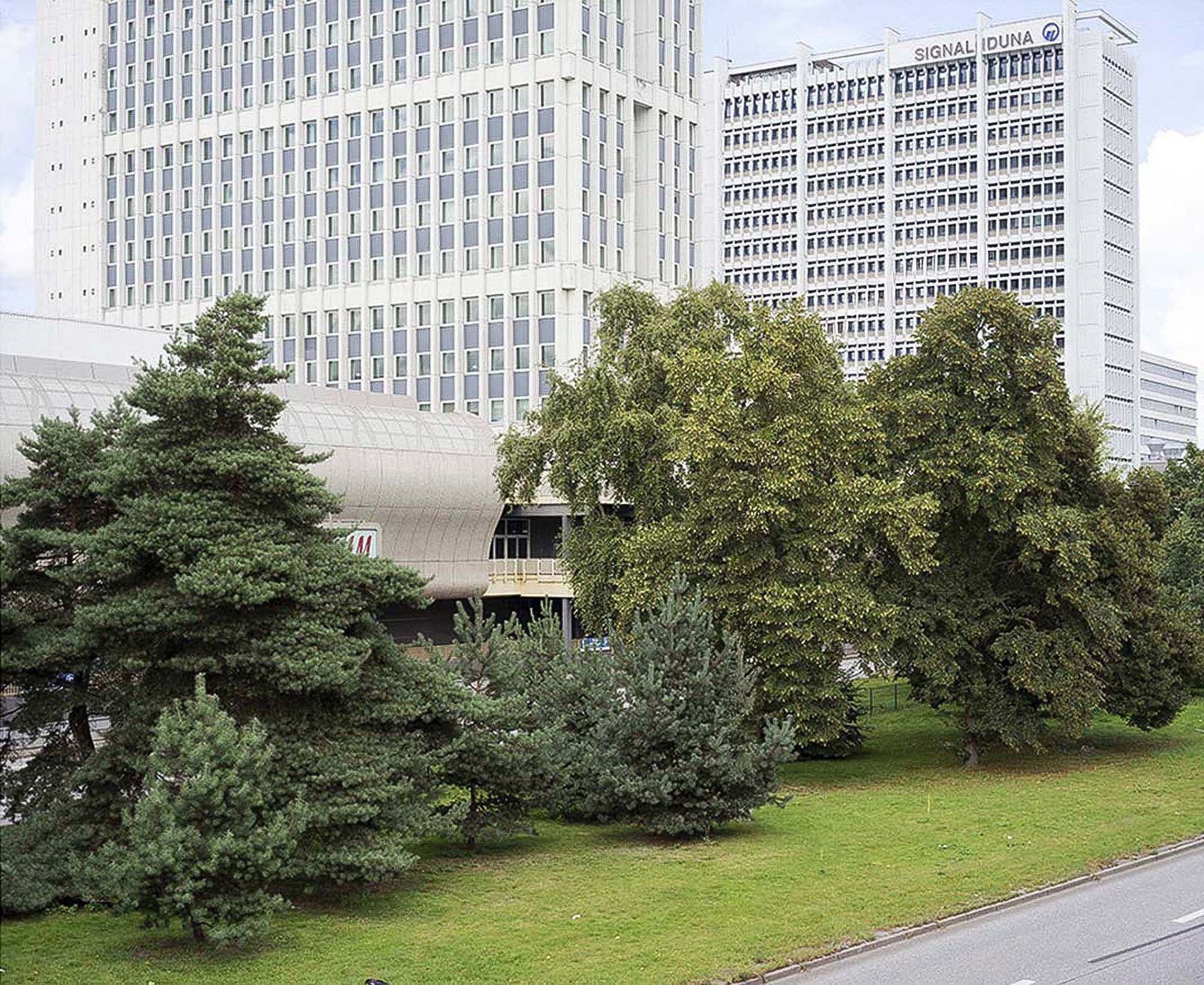 3_Bouleward_Wald Kopie 33.jpg