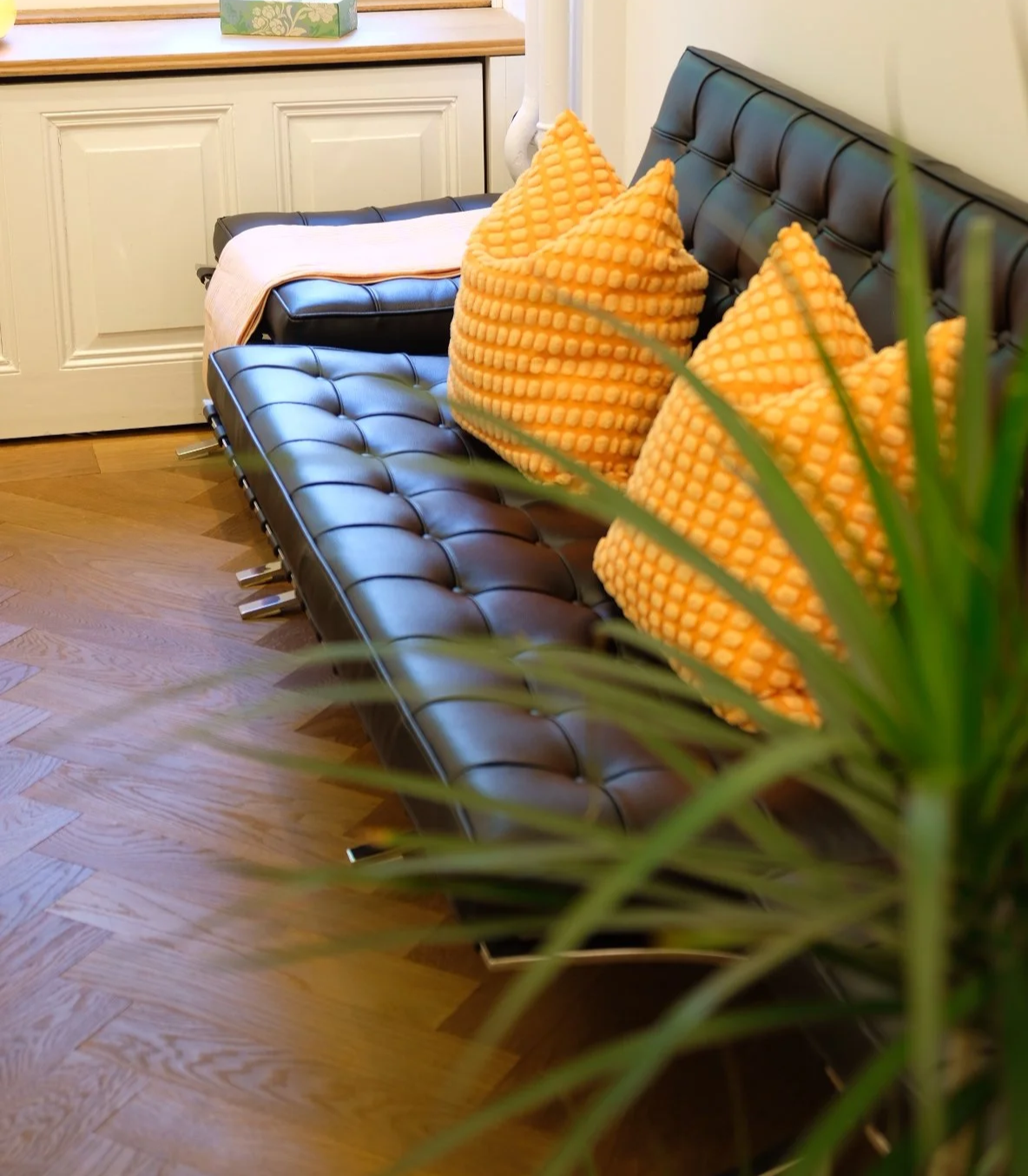 Ein schwarzes Leder-Sofa mit vier orangefarbenen Kissen, einer weißen Decke, Holzfußboden, in einem Raum mit weißer Wand und grüner Pflanze im Vordergrund.