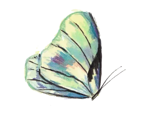Wedding stationery illustration detail of a green butterfly