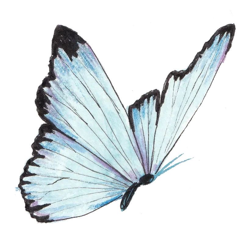 Watercolor illustration of a blue butterfly for wedding stationery