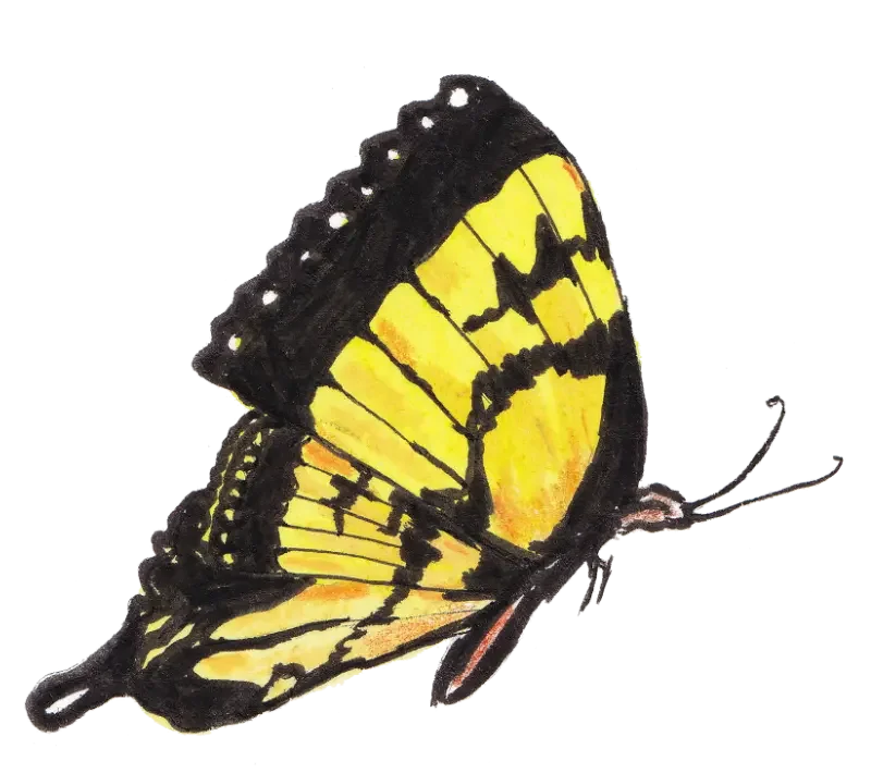 Watercolor illustration of a yellow butterfly for a bespoke wedding invitation suite