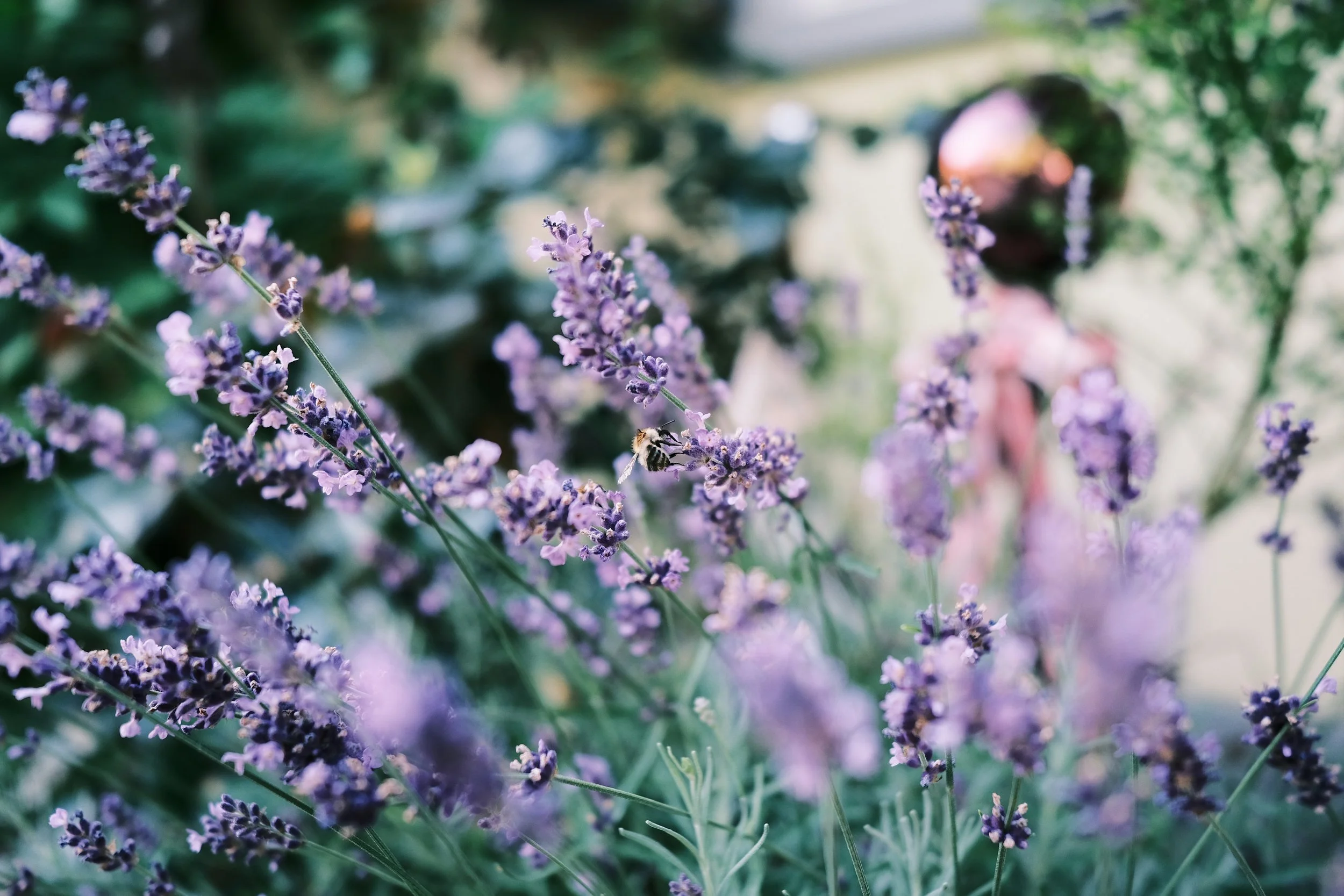 Scent and Memory