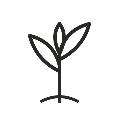 Simple line drawing of a young plant with three leaves.