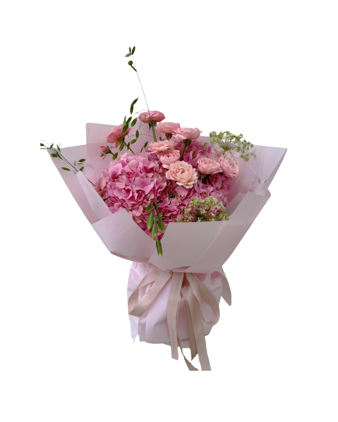 Sweet Peony Dream WB.png