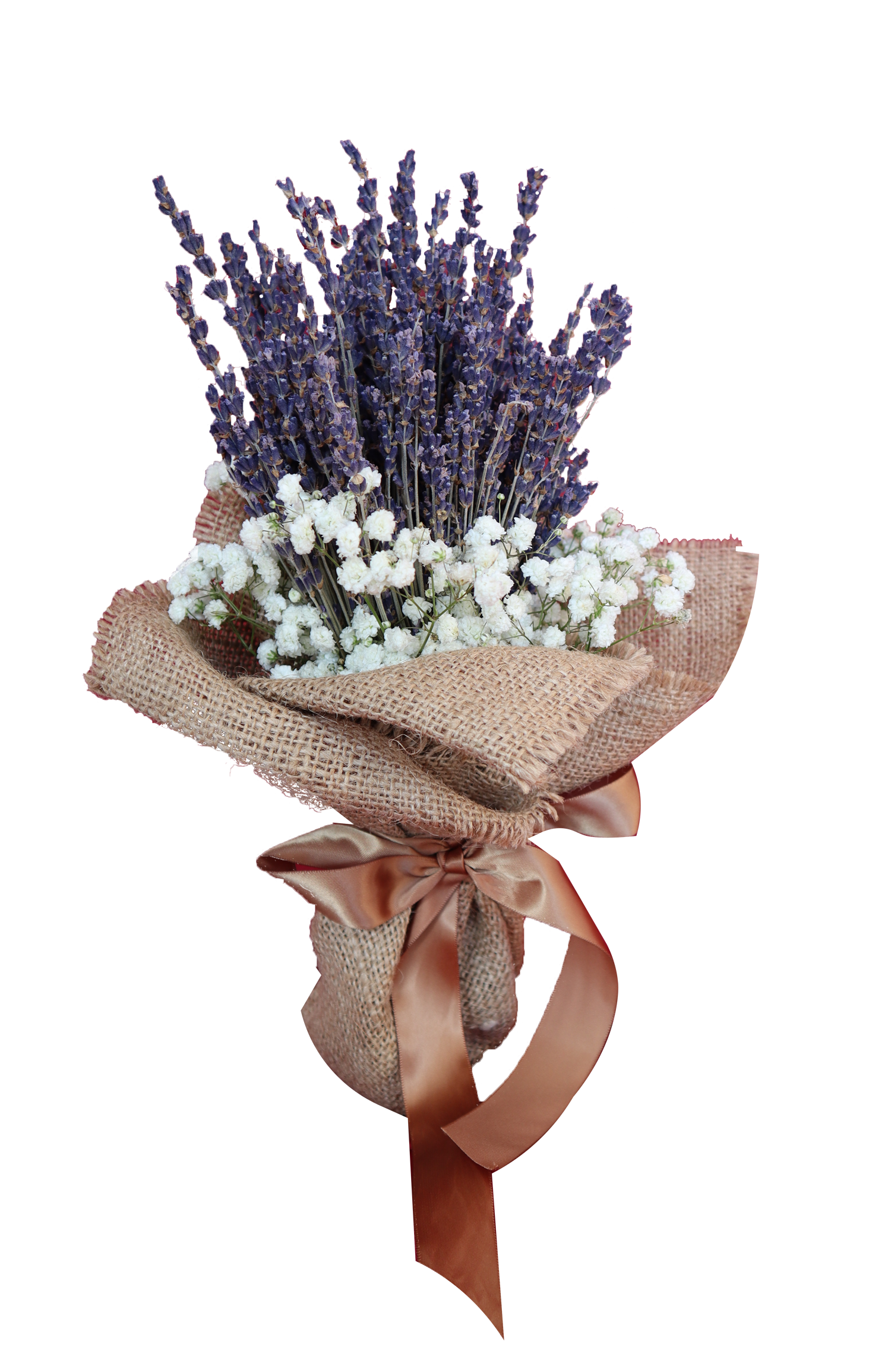 Lavender With Baby’s Breath