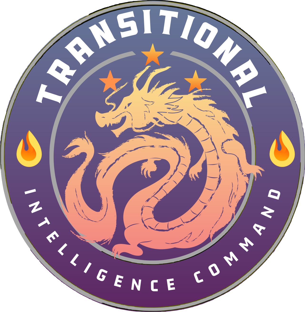 Transitional Intelligence Command (TIC)