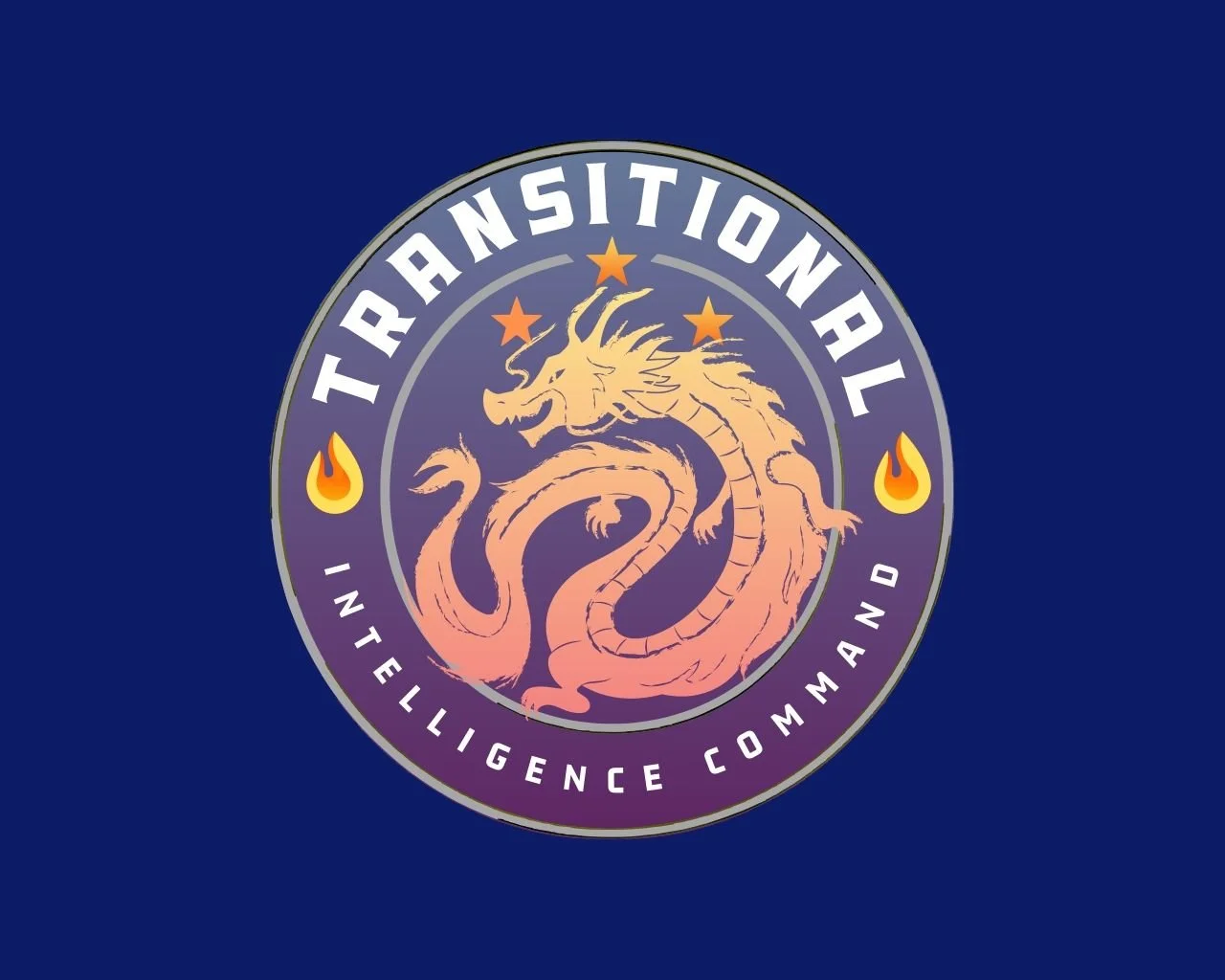 Flag with a circular emblem in the center featuring a dragon, stars, and fire symbols, with the text 'Transitional Intelligence Command'.