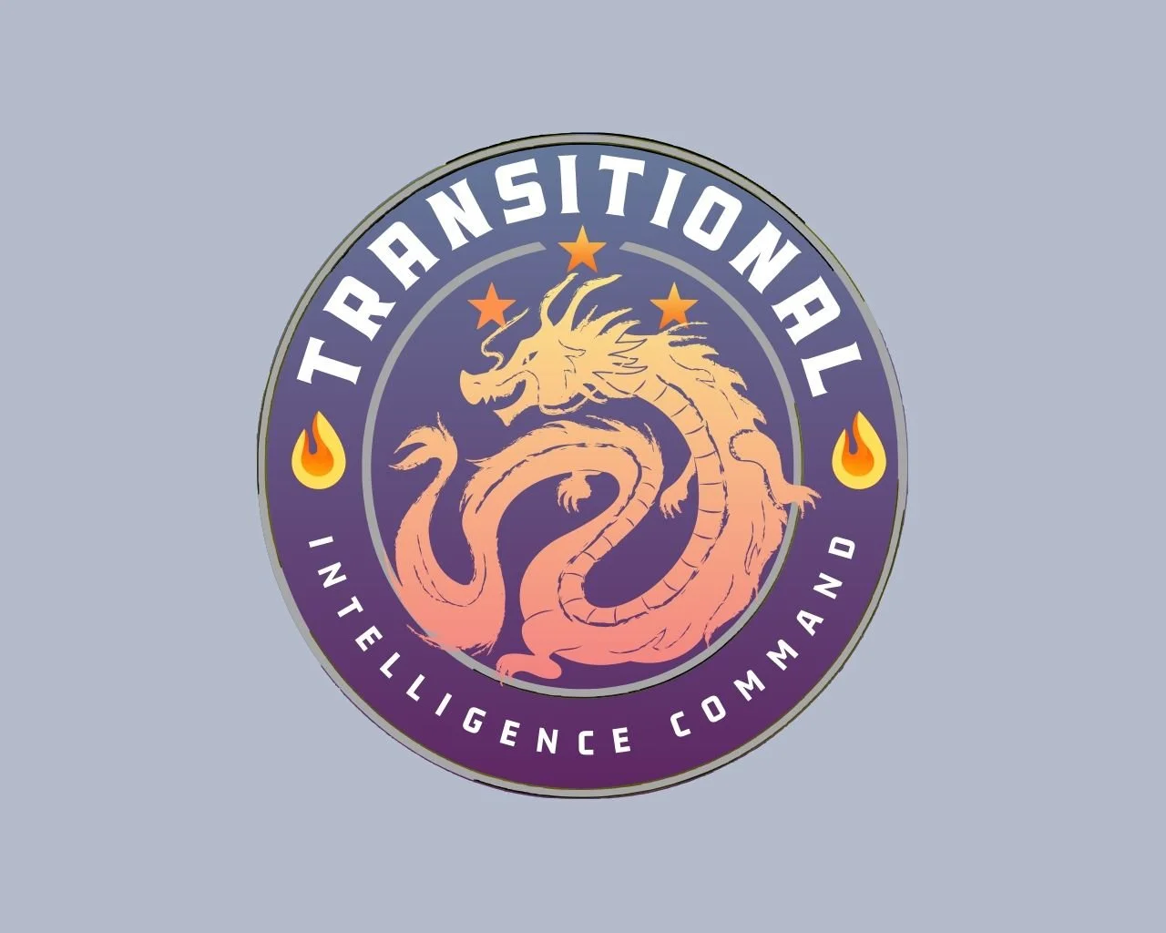 Transitional Intelligence Command (TIC)