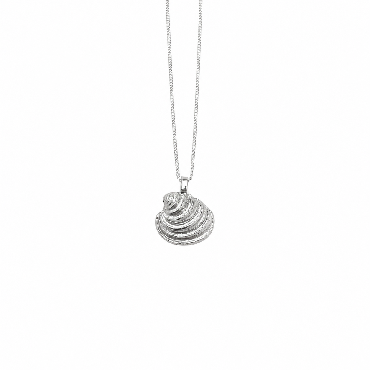 Venus Shell Pendant Necklace