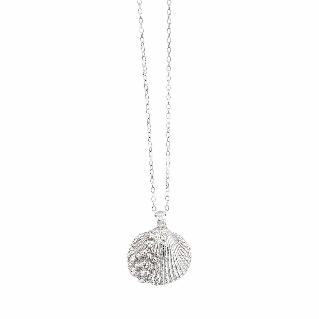 Cockle Shell With Barnacle Pendant Necklace